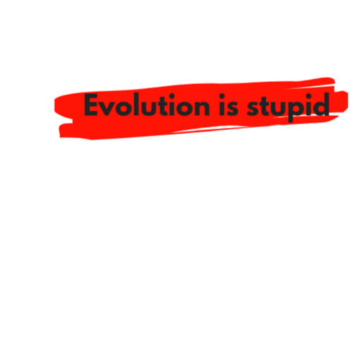 Evolution is Stupid
