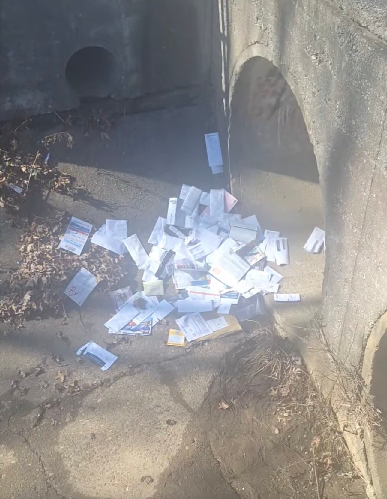Valley - Dumped Mail Found in Valley Station as USPS Delays Continue ...