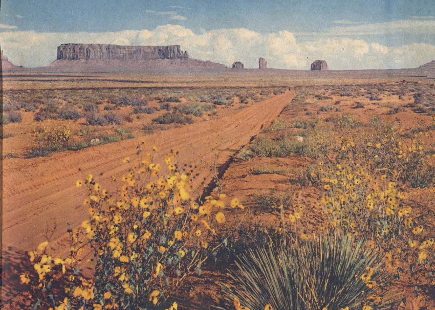Gribblenation - Pictured is the highway north of Kayenta in the Navajo ...