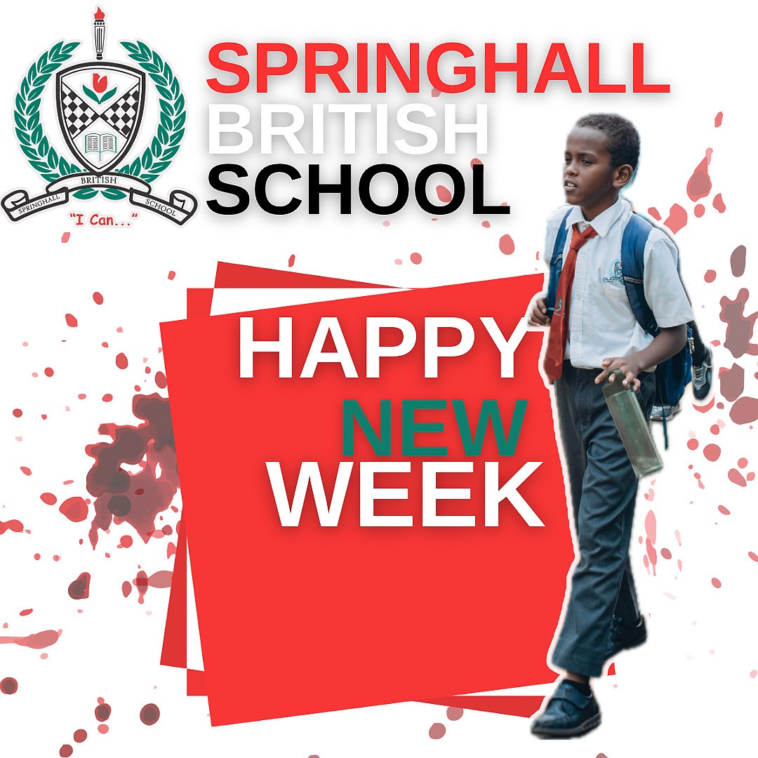 Springhall - Hello, new week! 🌞📖 Fresh smiles, bright minds, and new ...