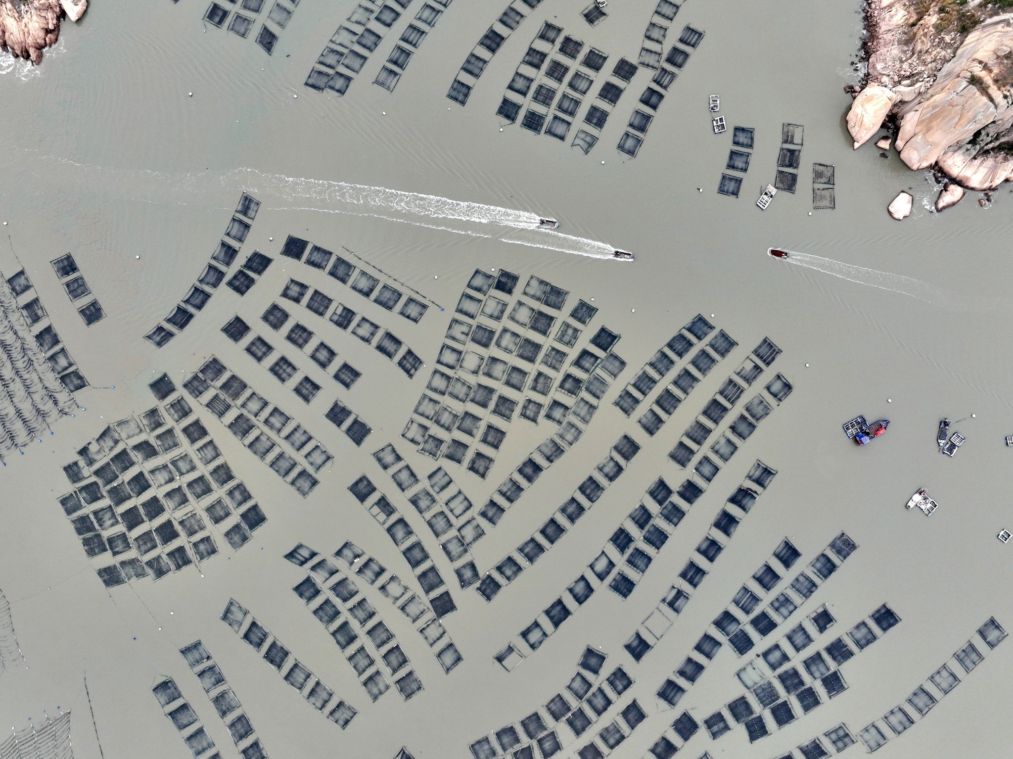 An aerial drone photo shows a laver culture zone in Shacheng Town 