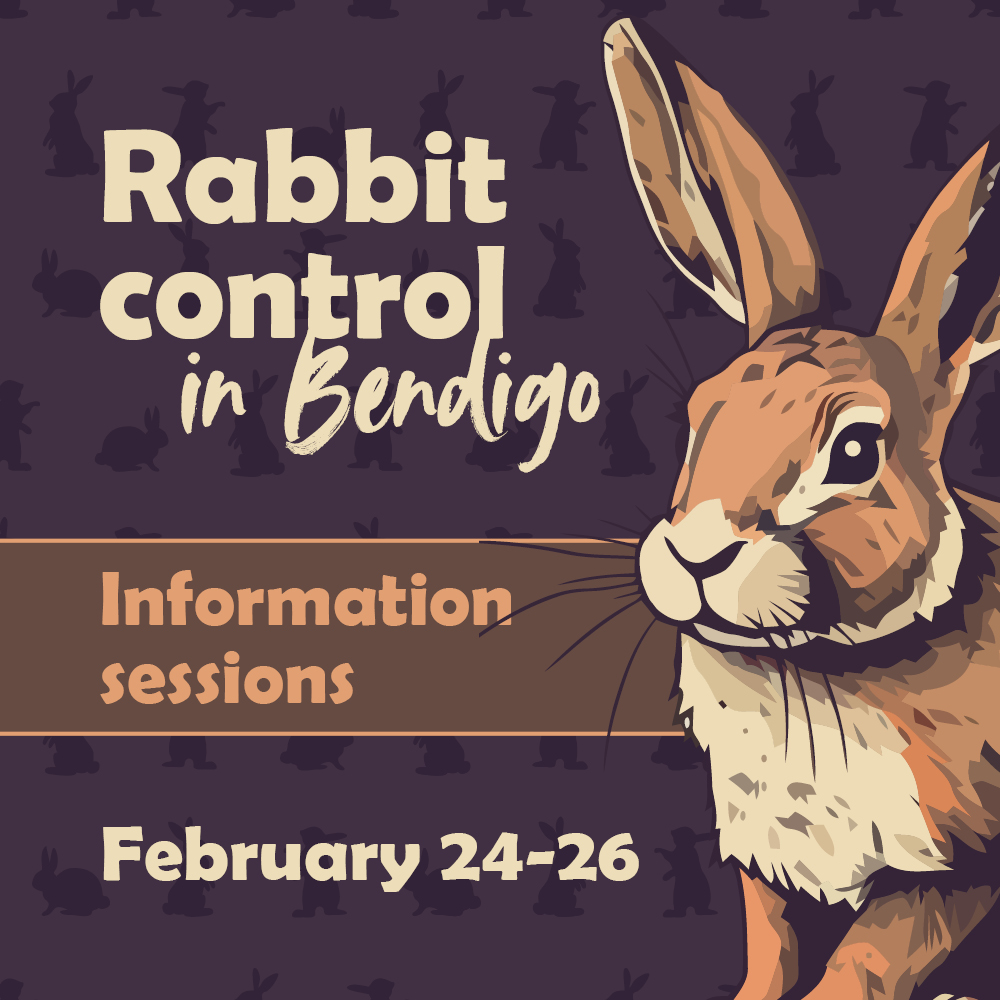 It’s rabbit season! 🐇 If you... - City of Greater Bendigo | Facebook