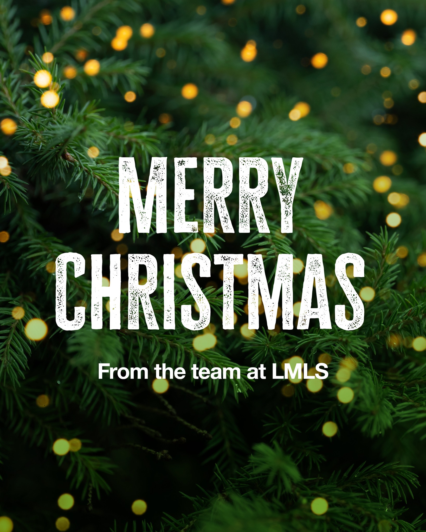 🎄 Merry Christmas,... - Lower Mountains Landscape Supplies | Facebook