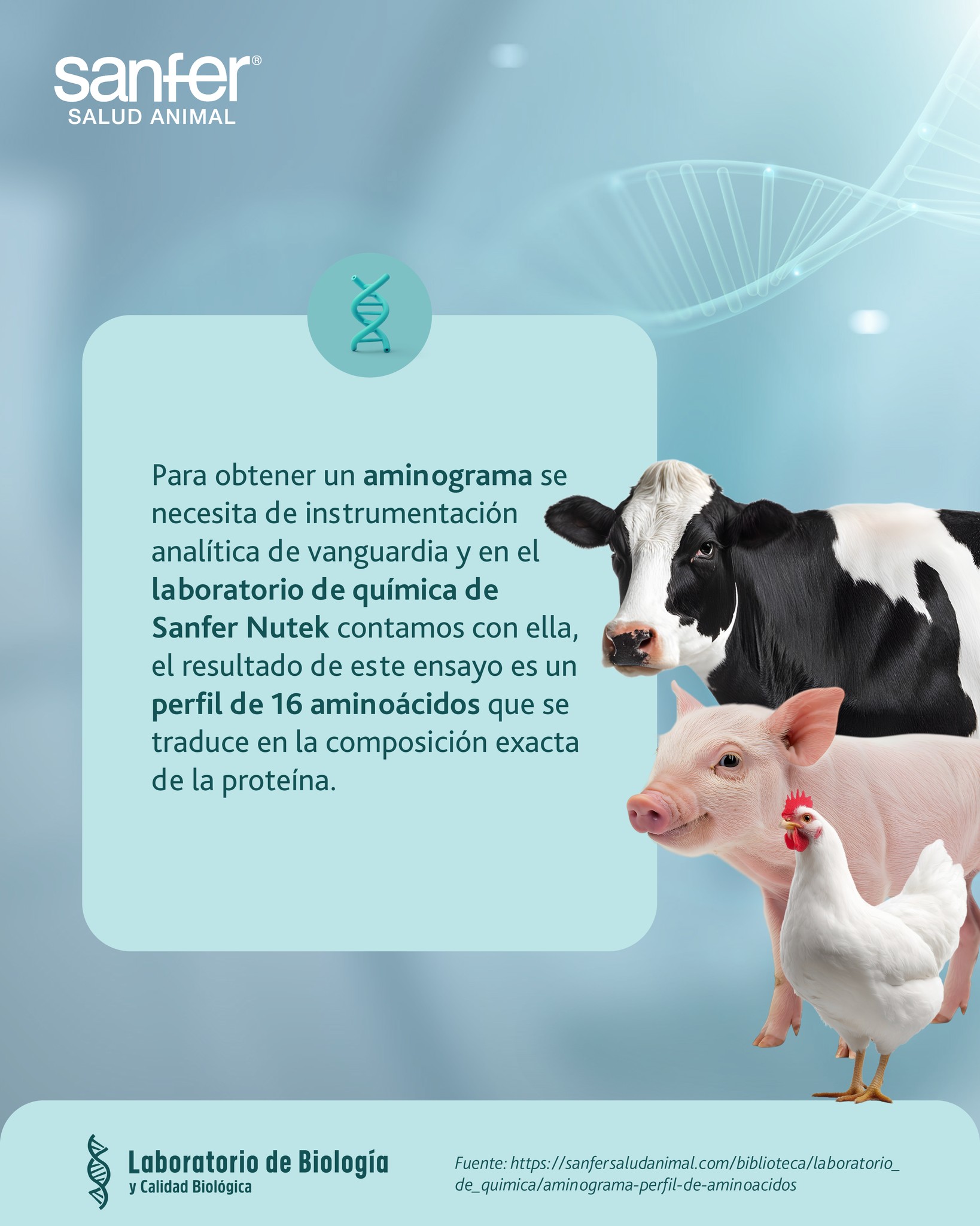 Sanfer Salud Animal - ¿Quieres que tus #vacas estén pariendo cada 13 ...