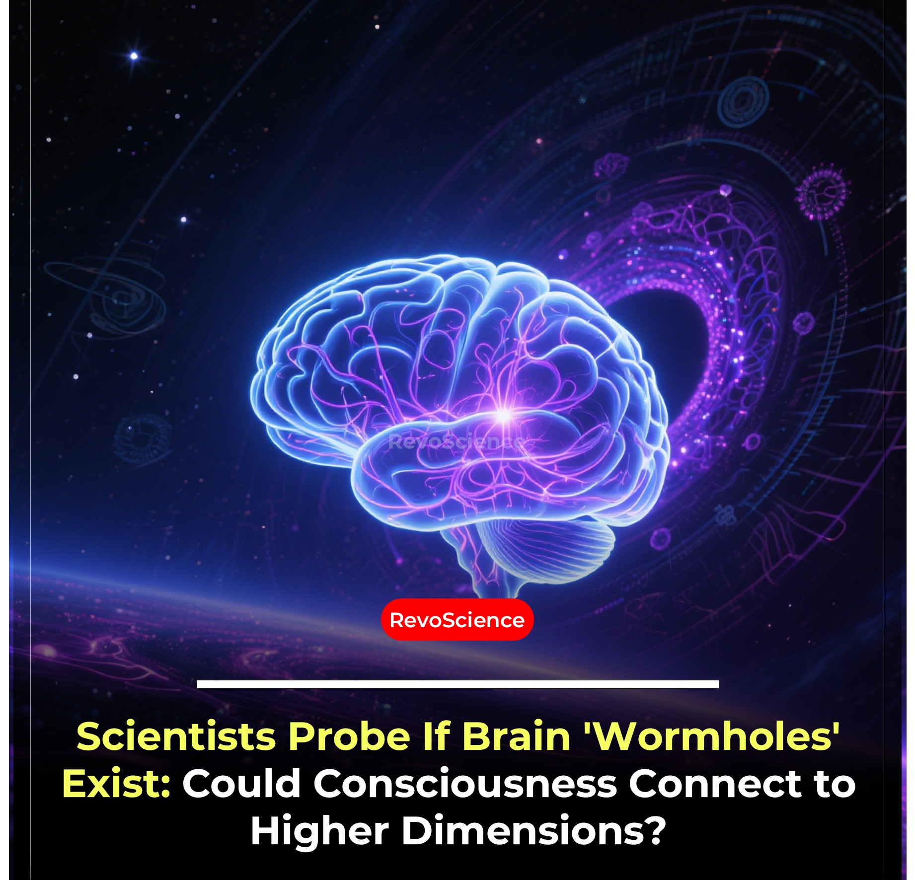 RevoScience - A groundbreaking theory suggests the human brain may ...