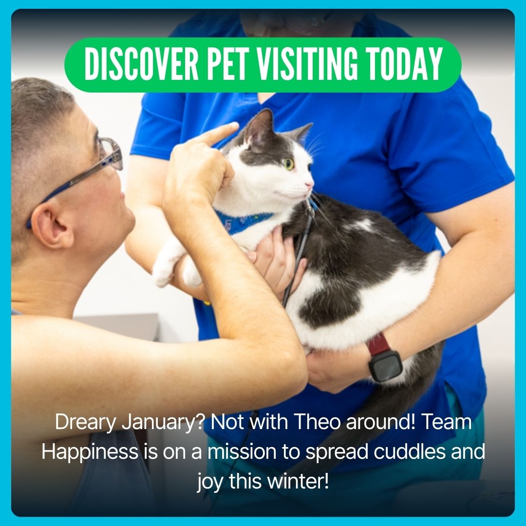 🐾 It only takes one moment of... - Hamilton/Burlington SPCA | Facebook