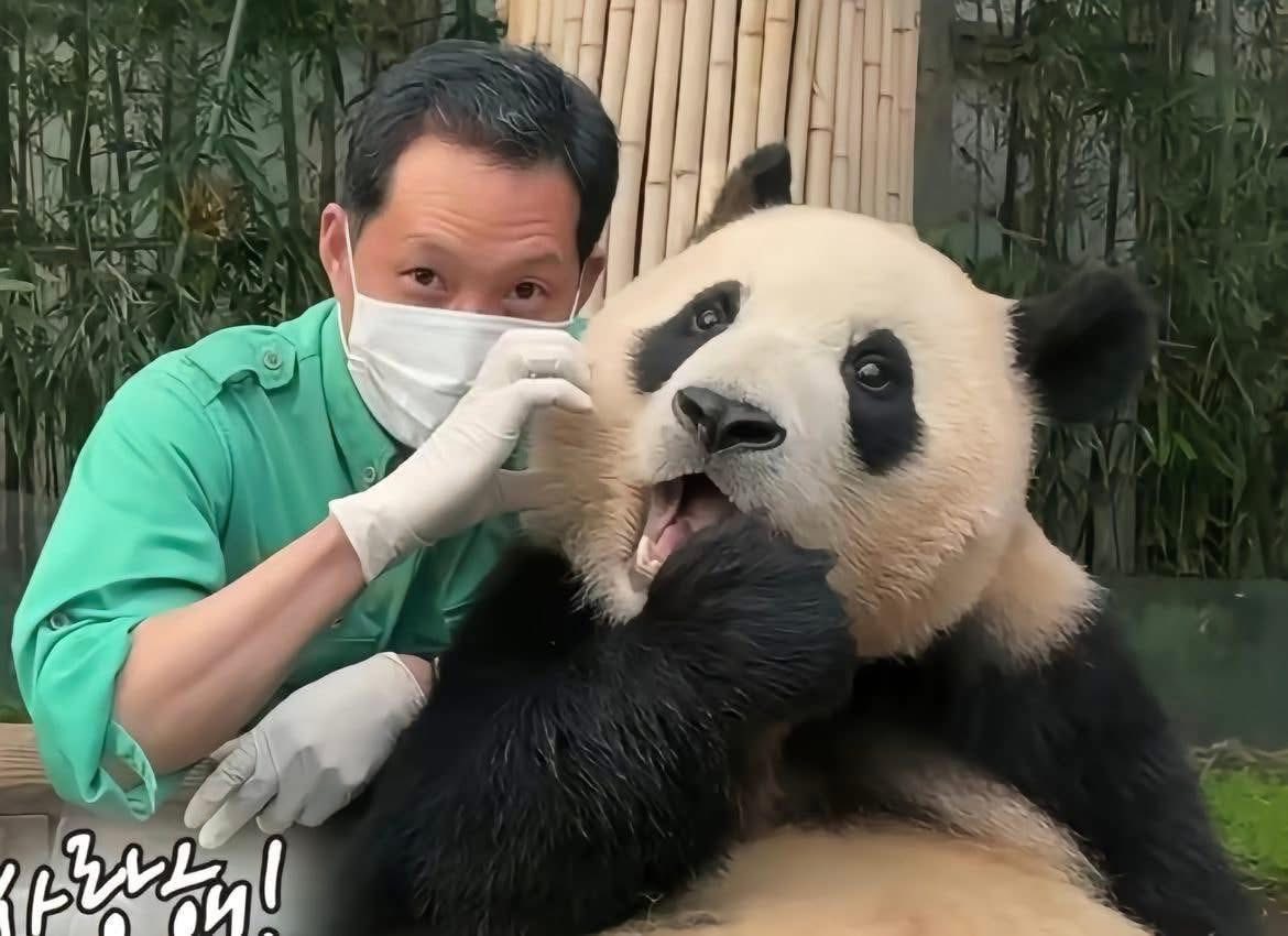 Rui Hui đáng yêu added a new photo. - Rui Hui đáng yêu