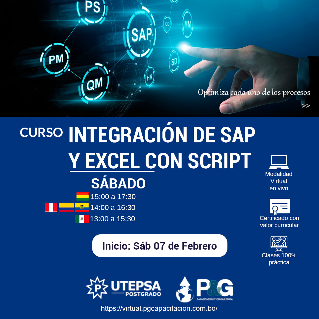 P&G - 🔧 Curso Integración de SAP y Excel con SCRIPT Dirigido a ...