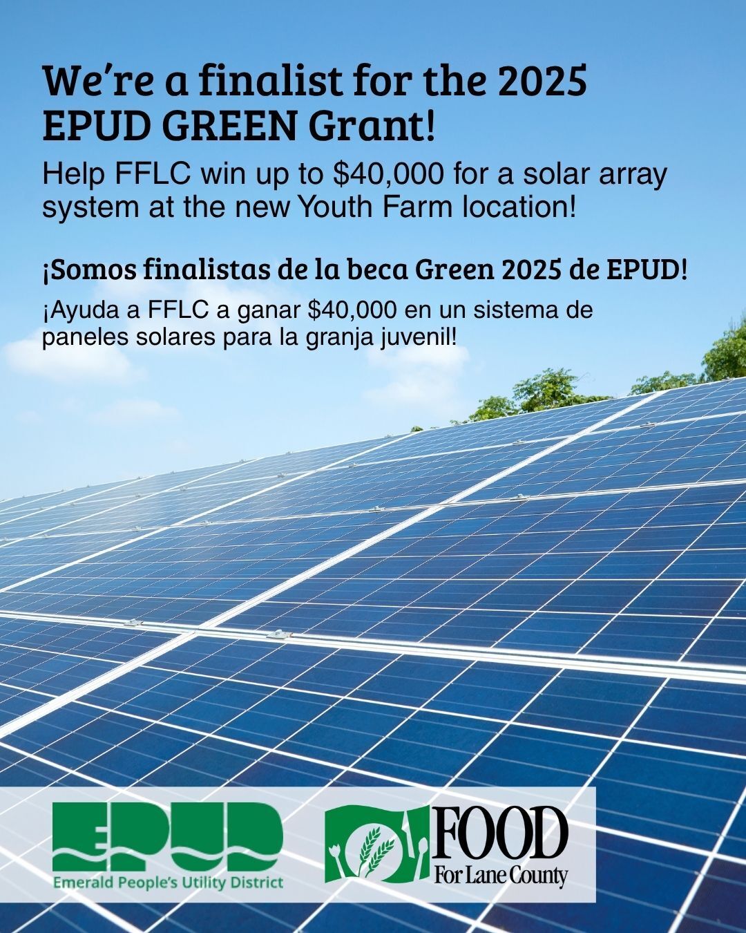 Food - We’re a finalist for the 2025 Emerald People's Utility District ...