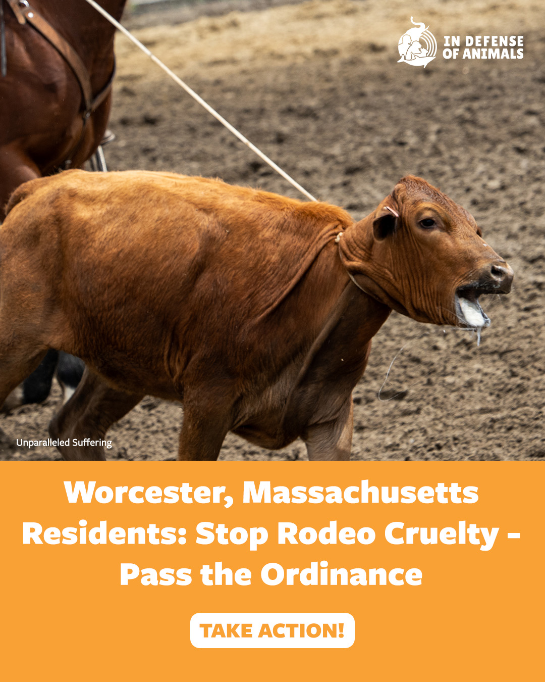 In - Worcester, Massachusetts Residents ONLY: A critical opportunity to ...