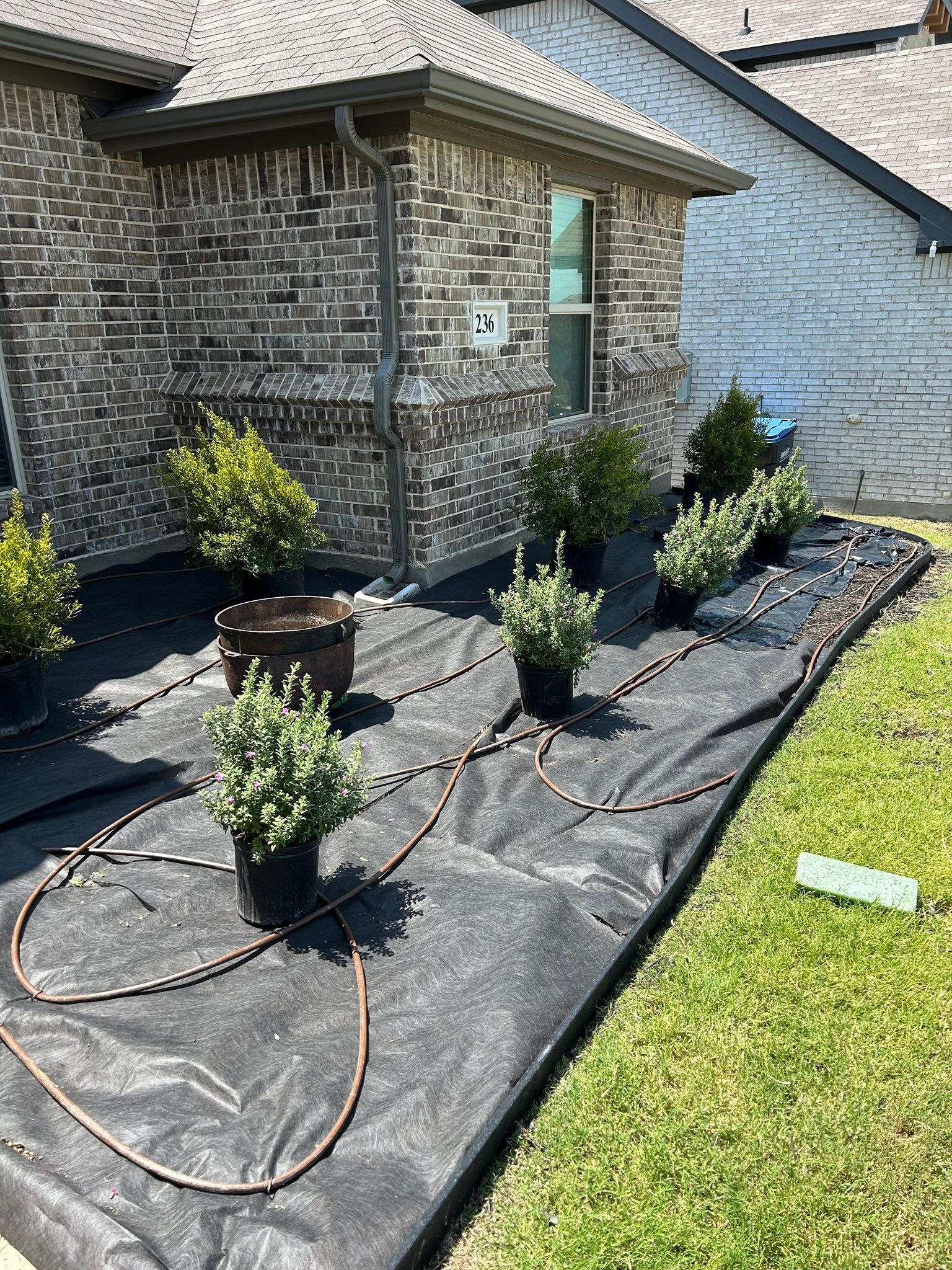 Backflows and Irrigation