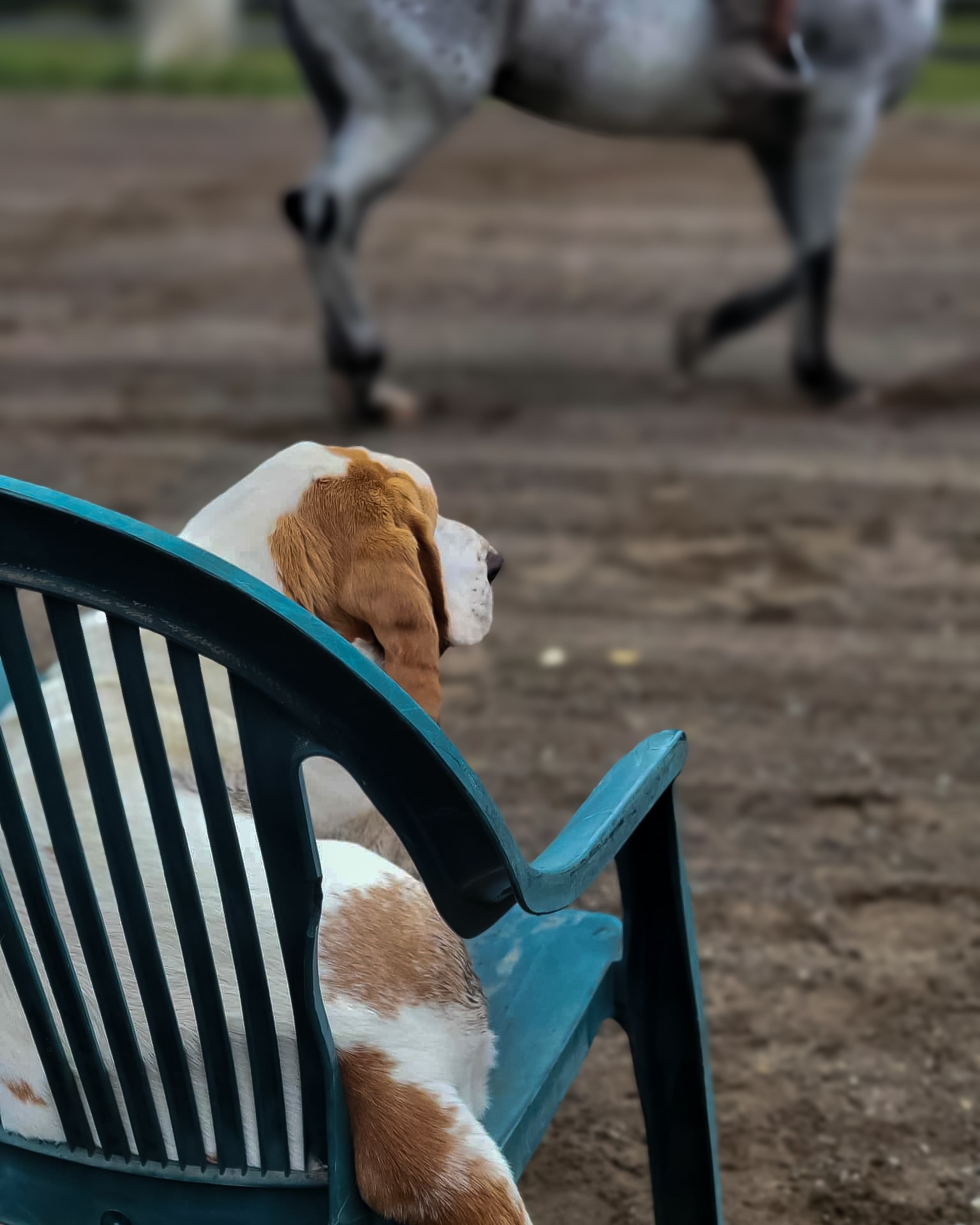 Ranch Robert | Brownsburg QC