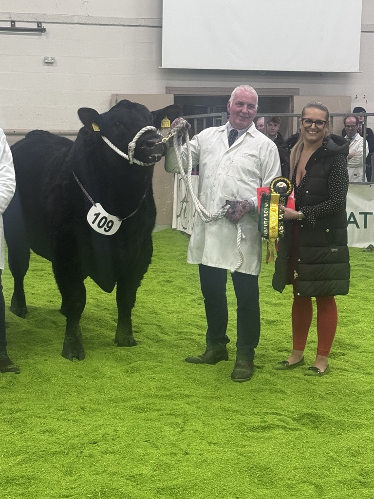 NE - Howden Scotland Class 12 - Yearling Bulls (January 28 - March 26 ...