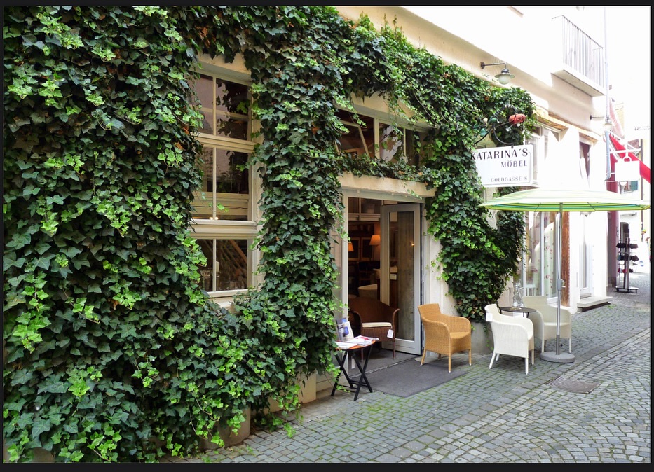 Wer erinnert sich noch an Katarina's Möbel Laden? Früher DAS Möbelhaus in Ravensburg, ein Ort voller Stil, Persönlichkeit und Inspiration. Wir bringen ihn zurück. Mit Freistil Interior bringen wir
