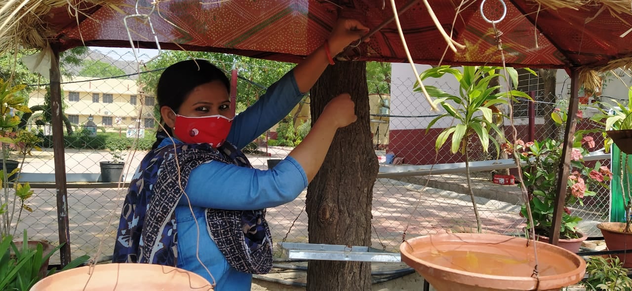 🐦 Dana-Pani campaign... - DISHA - RCD Social Service Society