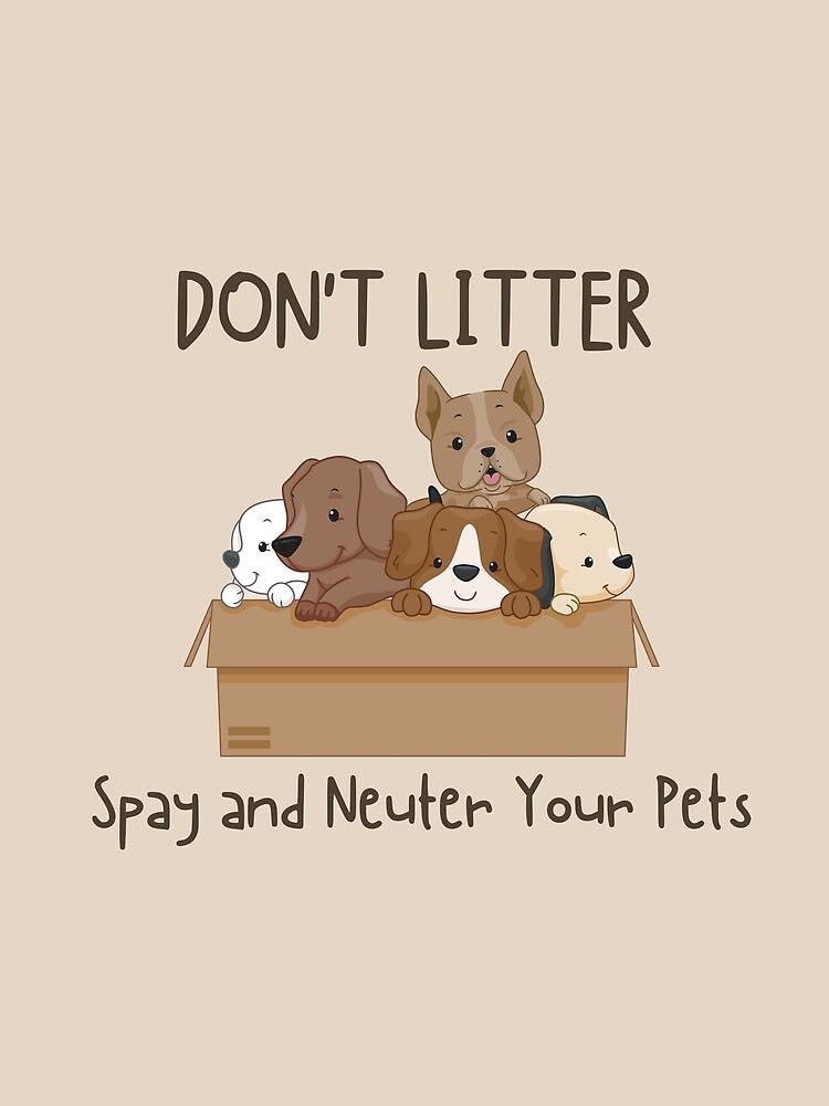 Photo inspiration: Gallery Detail: Small Low Cost Spay And Neuter Services Are Available At