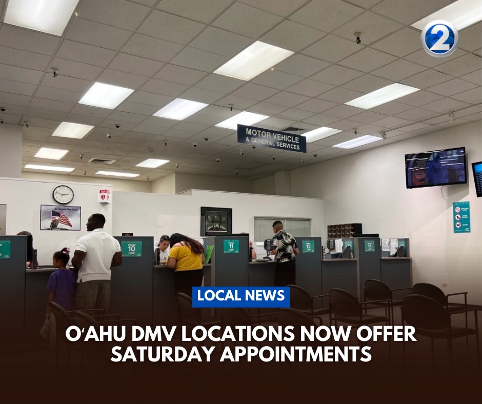 KHON2 - Nearly 111,000 driver’s licenses will expire on Oʻahu in 2026 ...