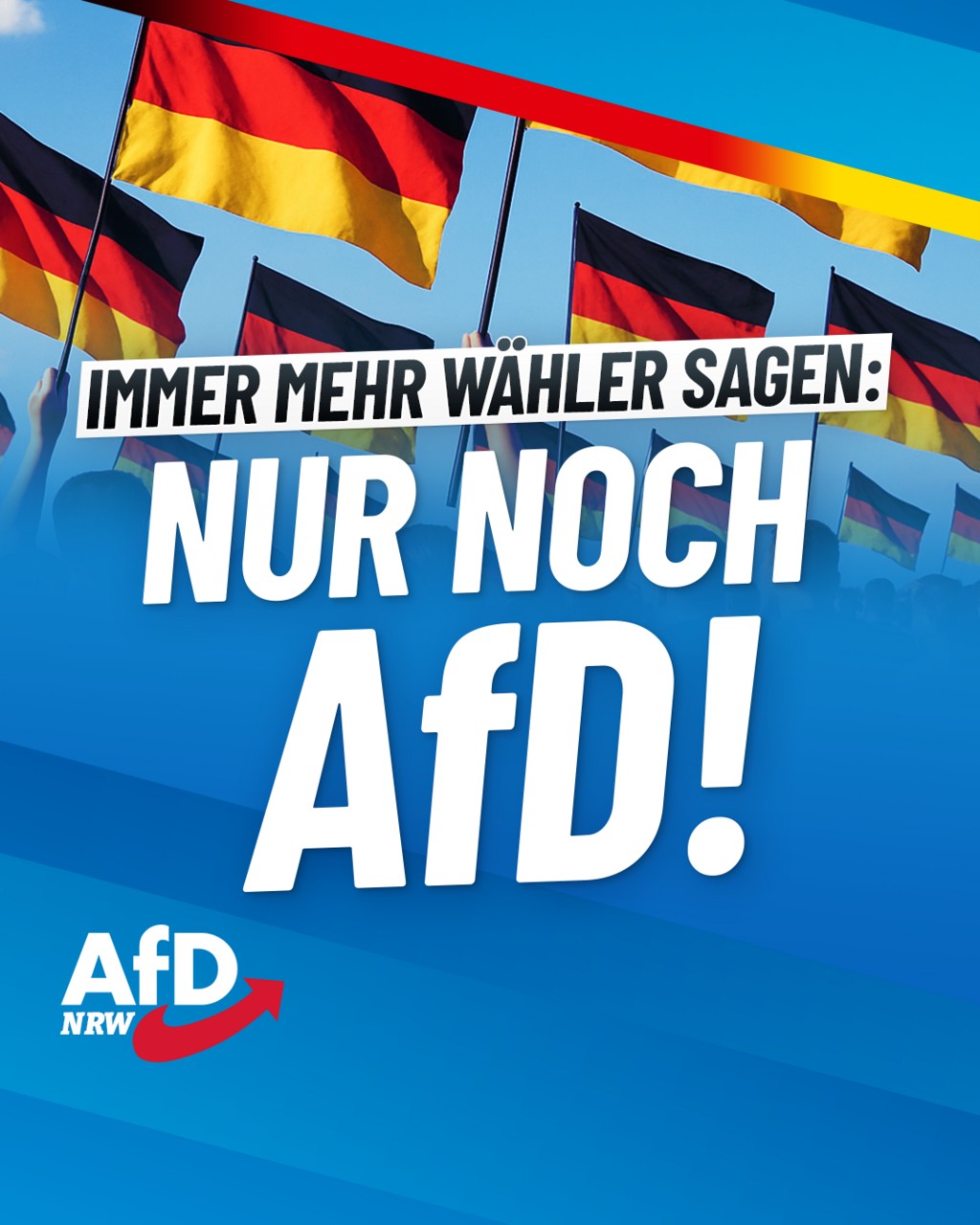 AfD - ++ Nur noch AfD! ++ Die Versuche des politischen Establishments ...