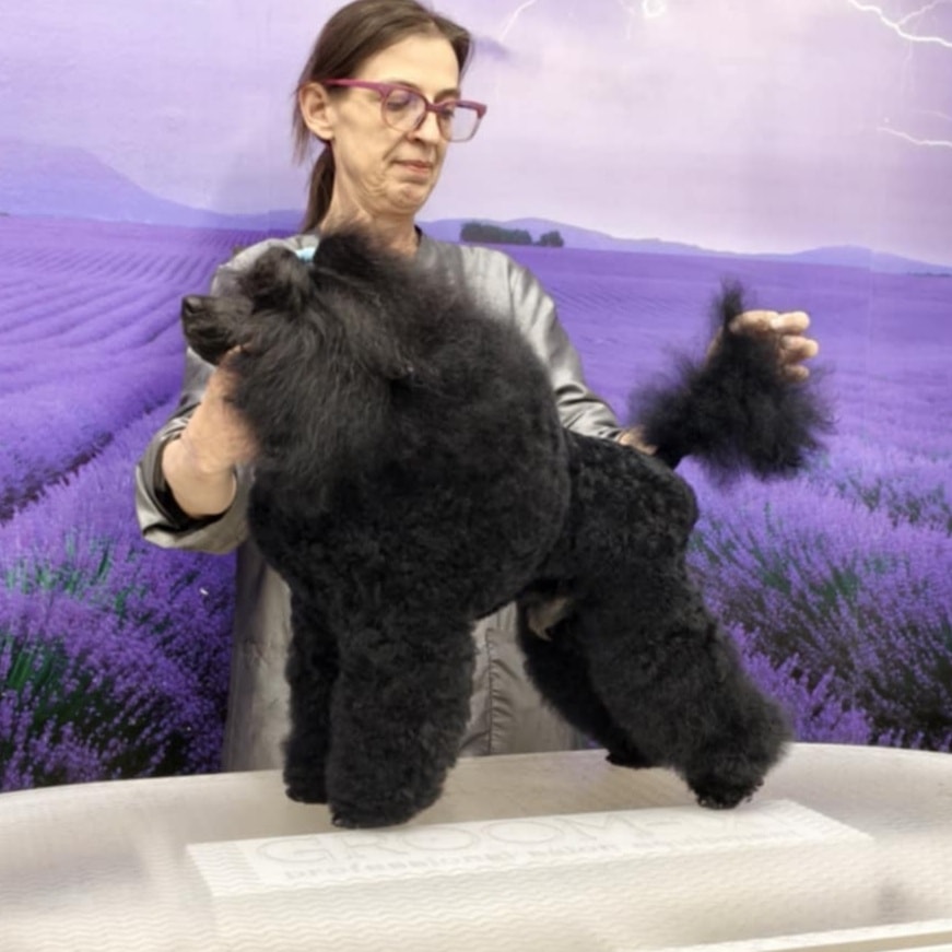 Chic Salon Dog Grooming photo