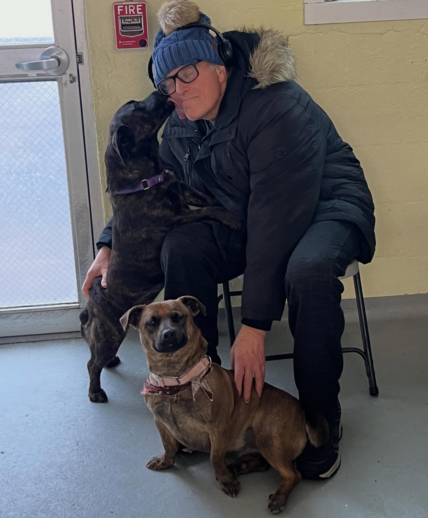 Randolph Regional... - Randolph Regional Animal Shelter