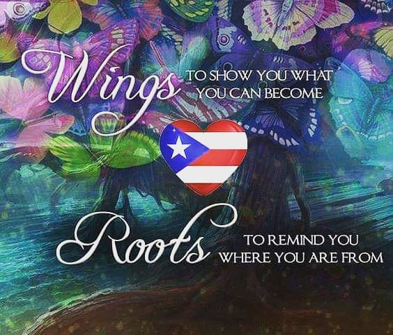 Our roots run deep 🇵🇷🙏... - Puerto Rican Pride