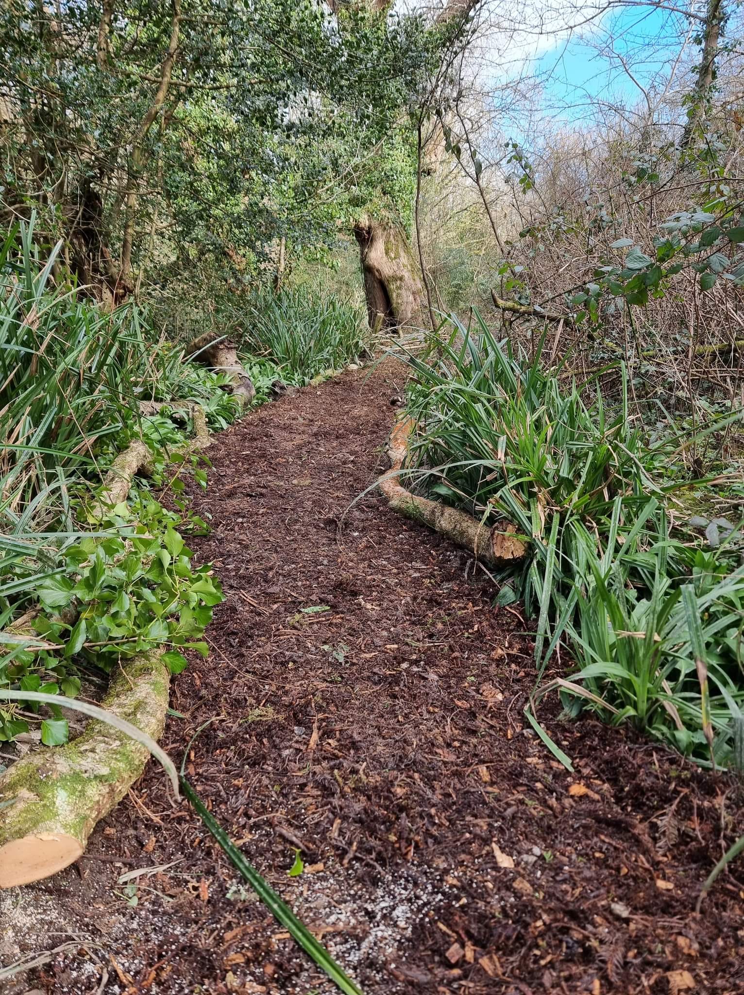 🏞️🦋 Riverside repair 🏞️🦋 As... - Truro's Countryside Rangers