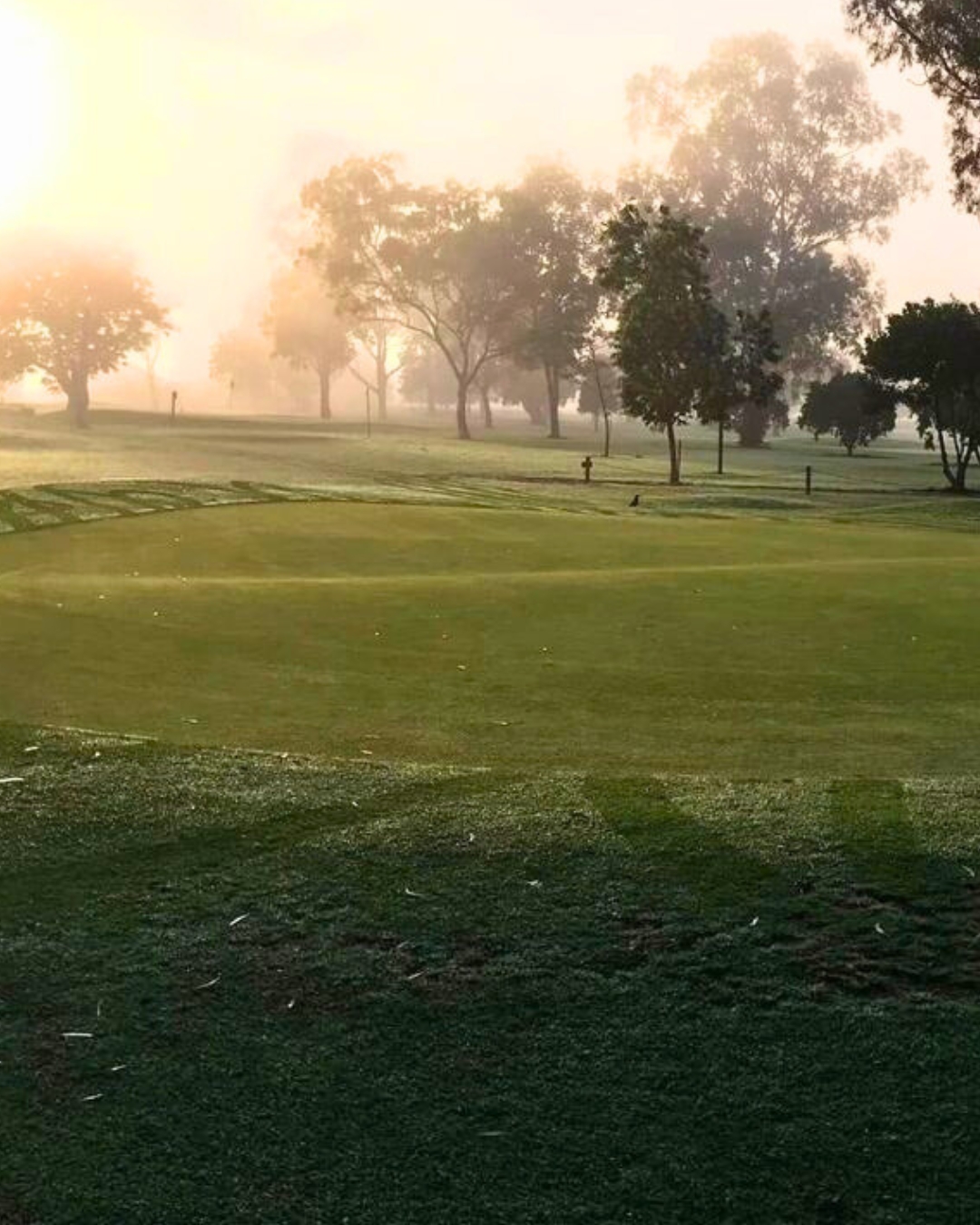 ⛳ At Singleton Golf Club, membership... - Singleton Golf Club | Facebook