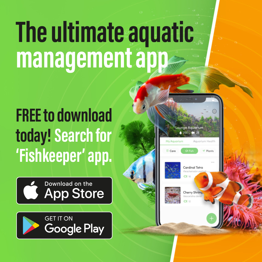 Maidenhead - Did you know? Most fish can see in colour and use colours ...