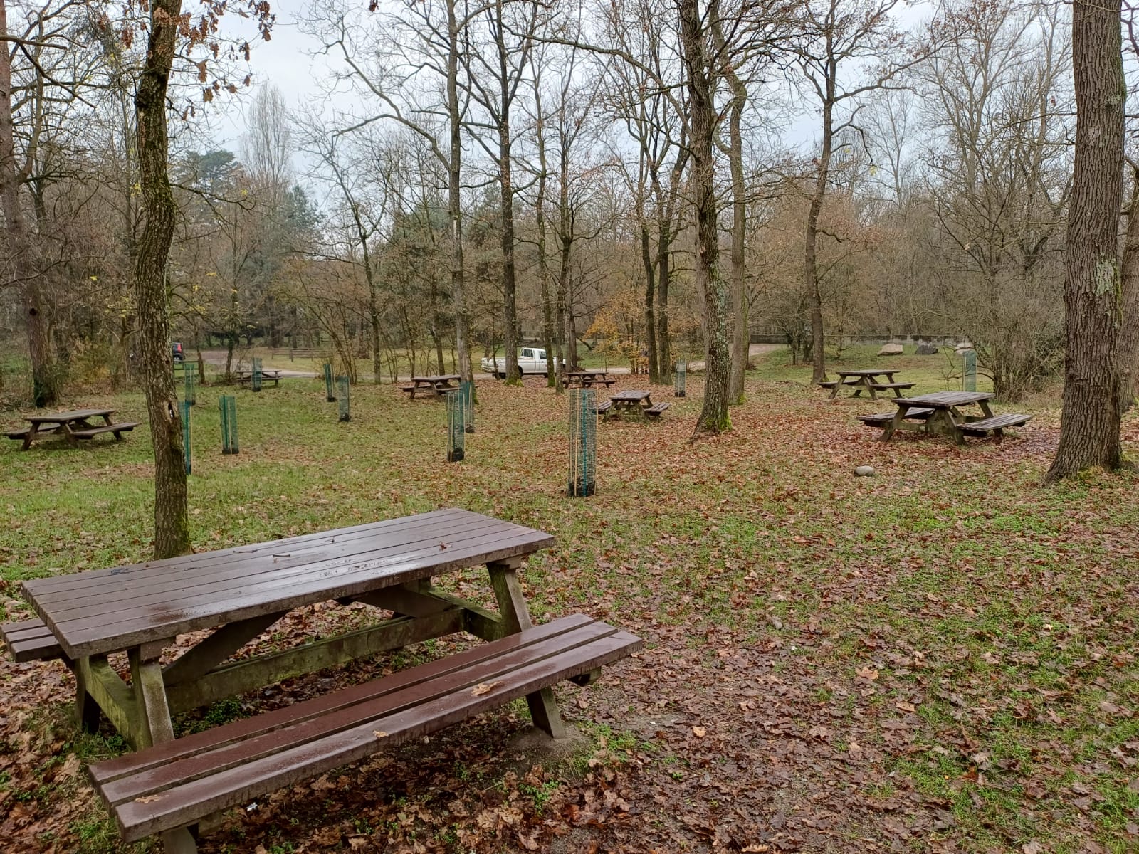Parco Ticino Lago Maggiore | Cameri