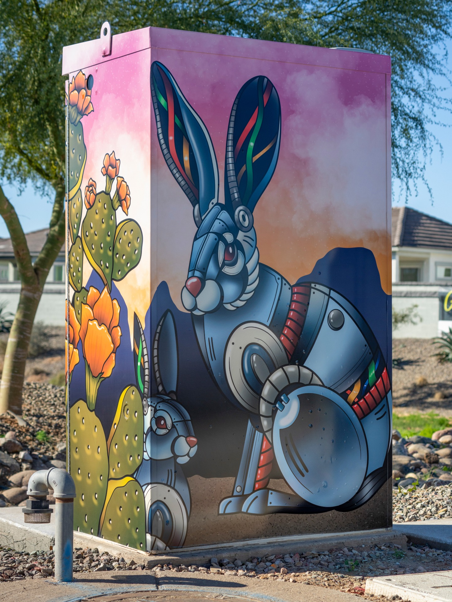 Vibrant traffic cabinet art in Surprise, Arizona
