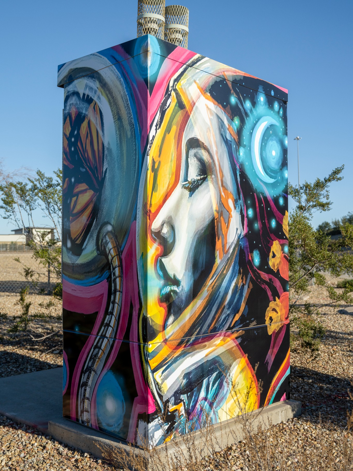 Vibrant traffic cabinet art in Surprise, Arizona