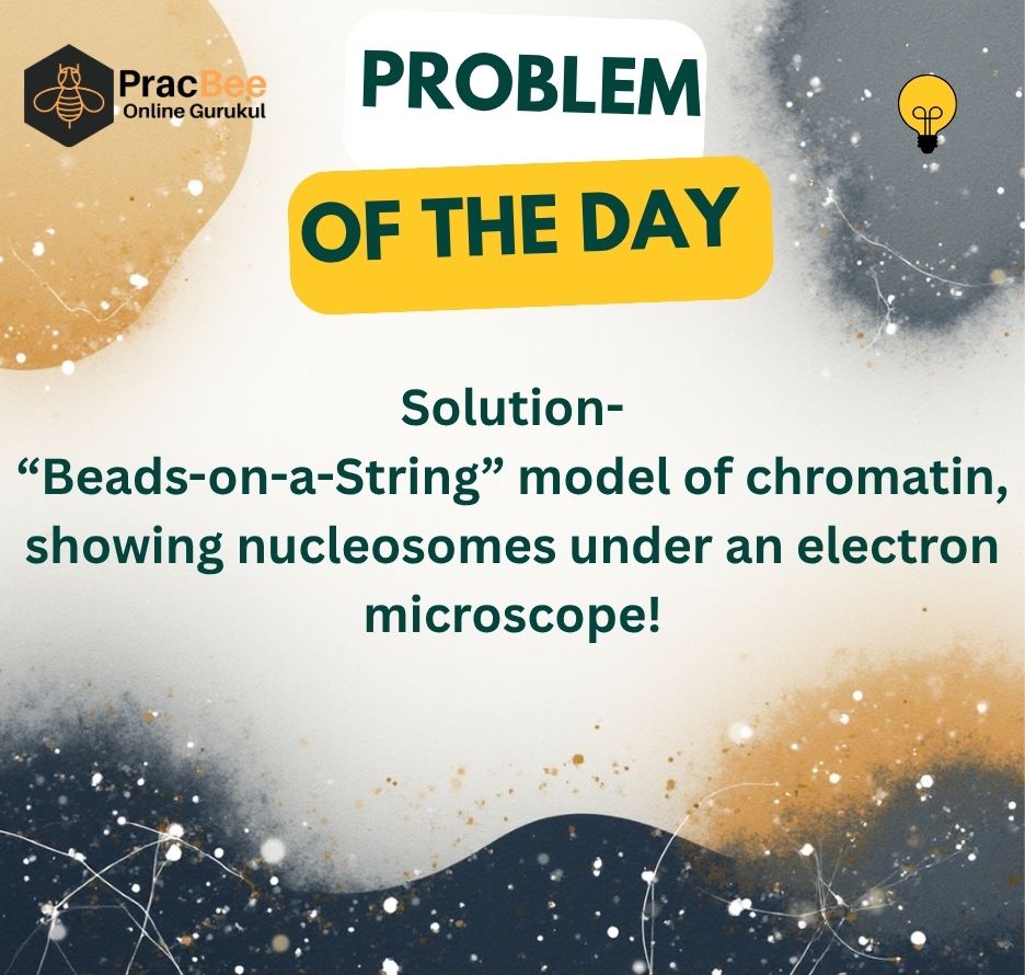 Pracbee - 🧬 Yesterday’s Problem of the Day – Solved!... | Facebook
