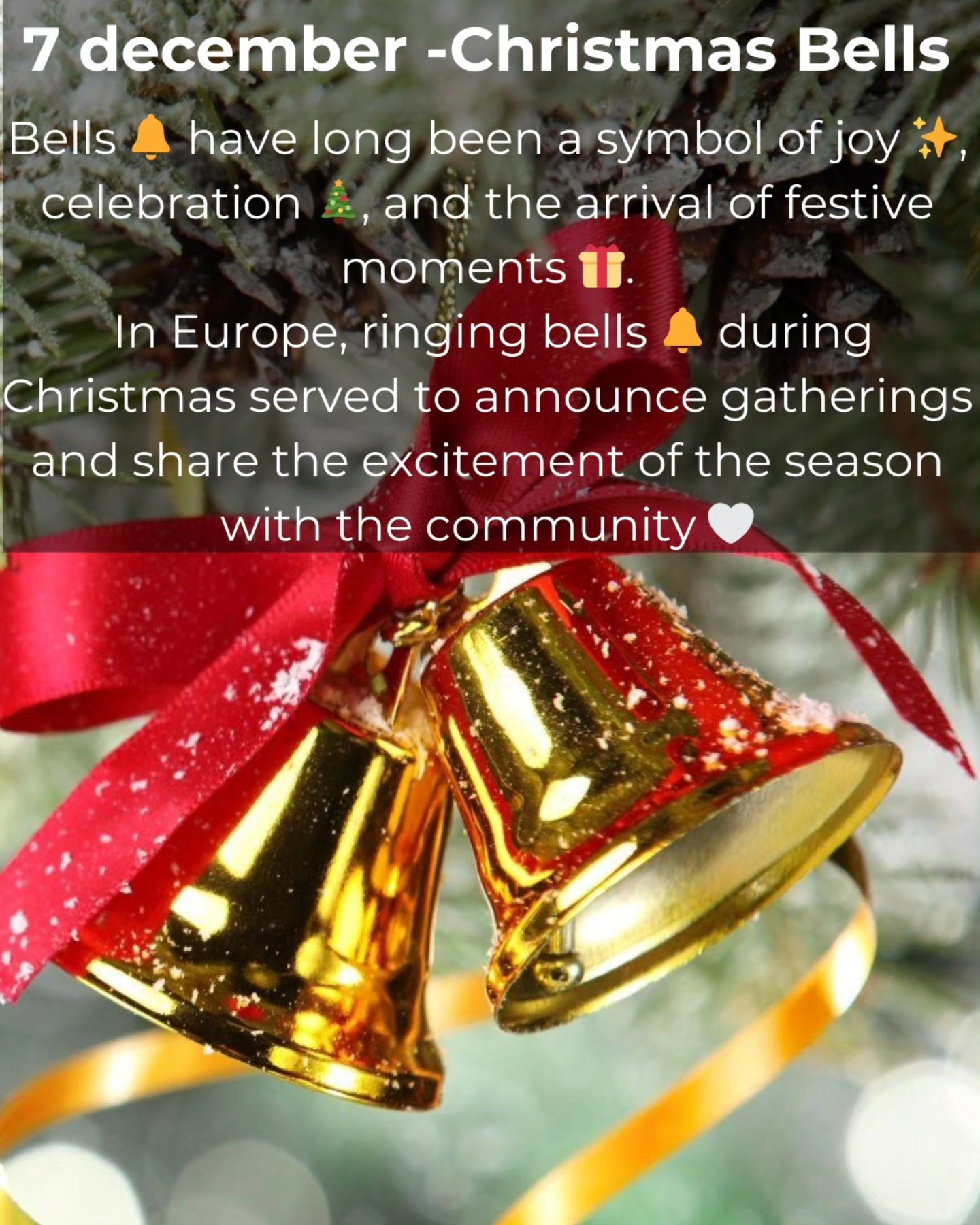 🎁 Day 7 December –... - LEO Clubs Switzerland (MD 102) | Facebook
