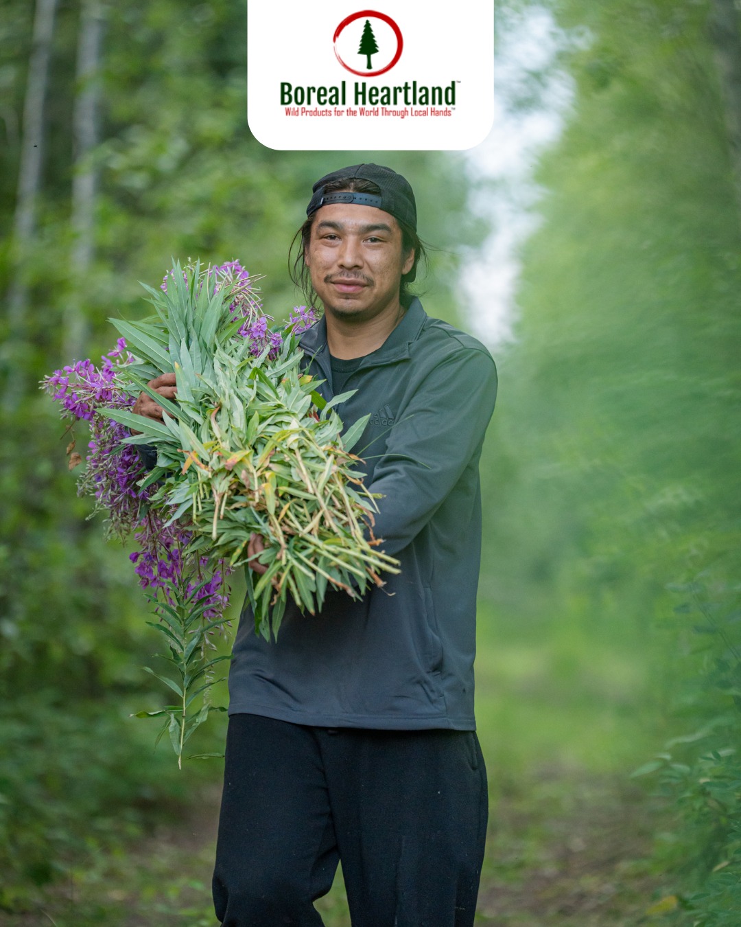 Boreal Heartland | Air Ronge SK