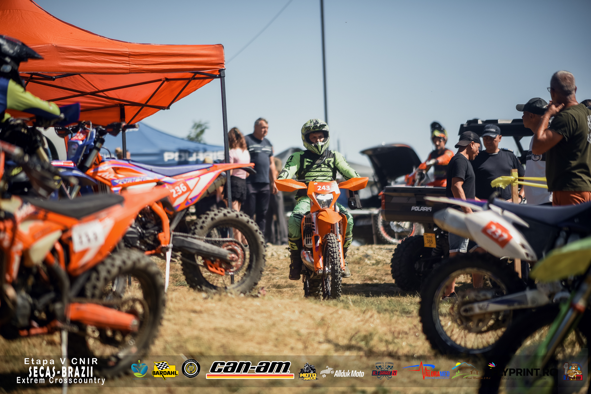 Lion Racing Team - Sebiş, România | Sebis
