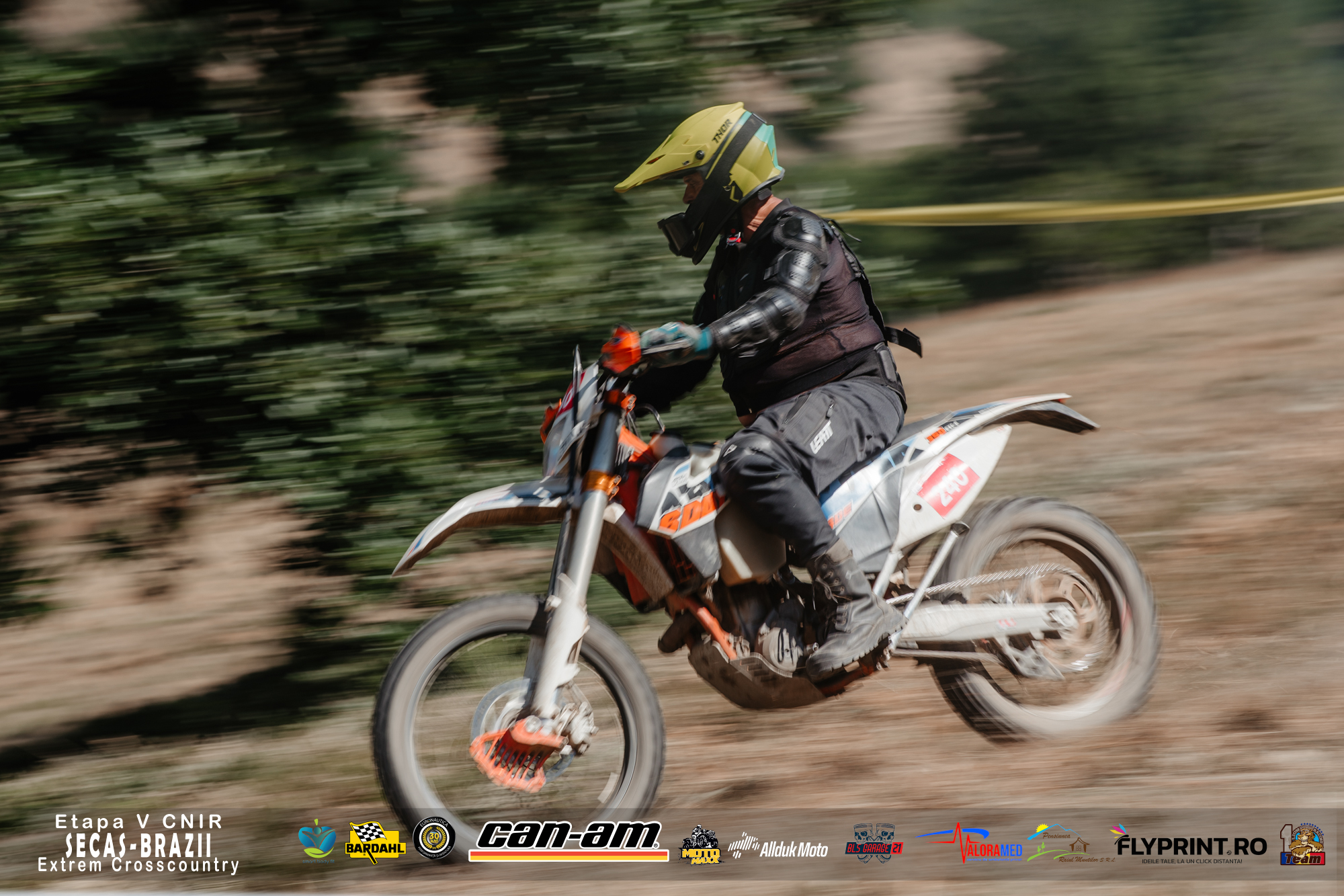 Lion Racing Team - Sebiş, România | Sebis