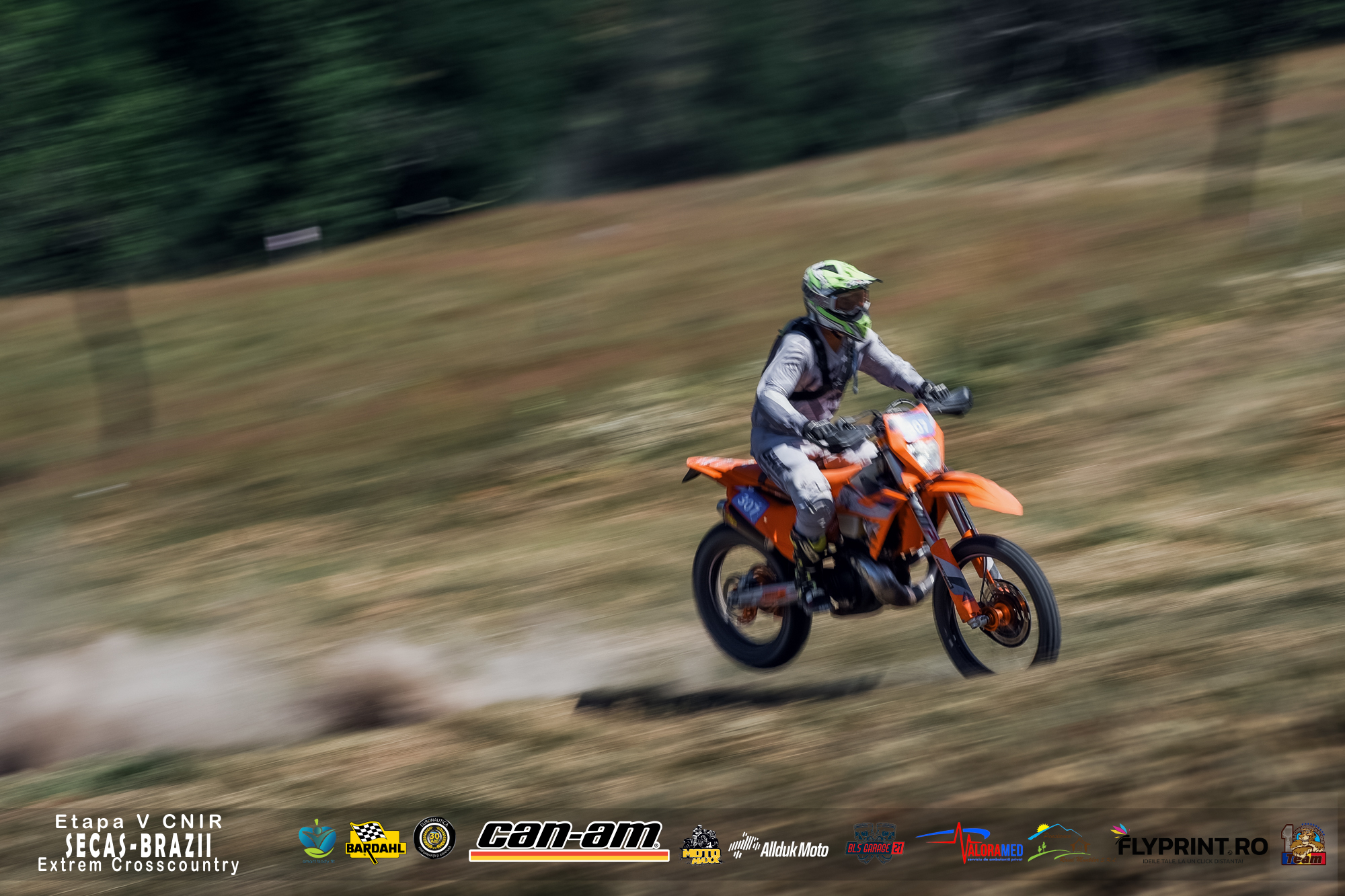 Lion Racing Team - Sebiş, România | Sebis