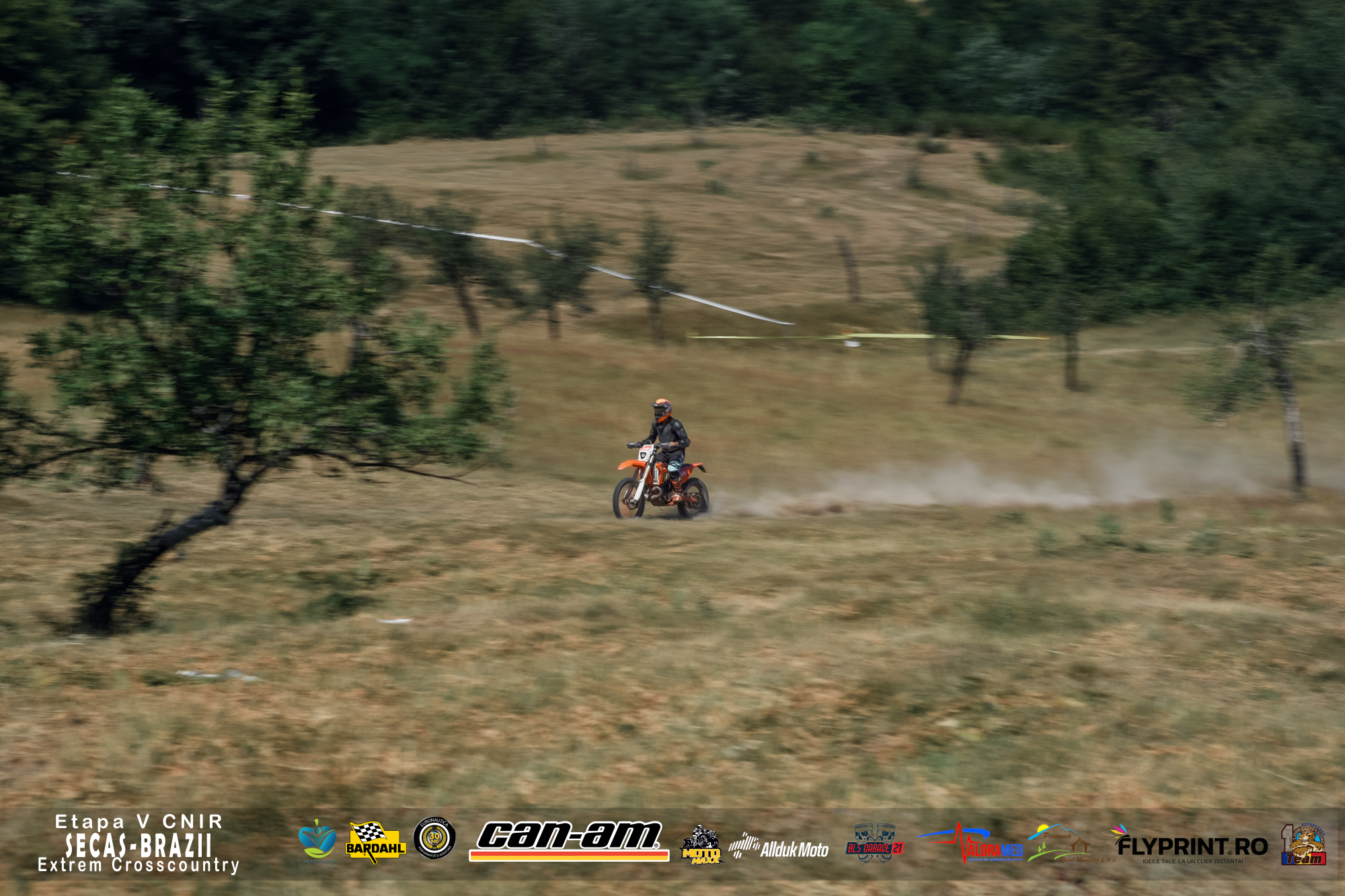 Lion Racing Team - Sebiş, România | Sebis