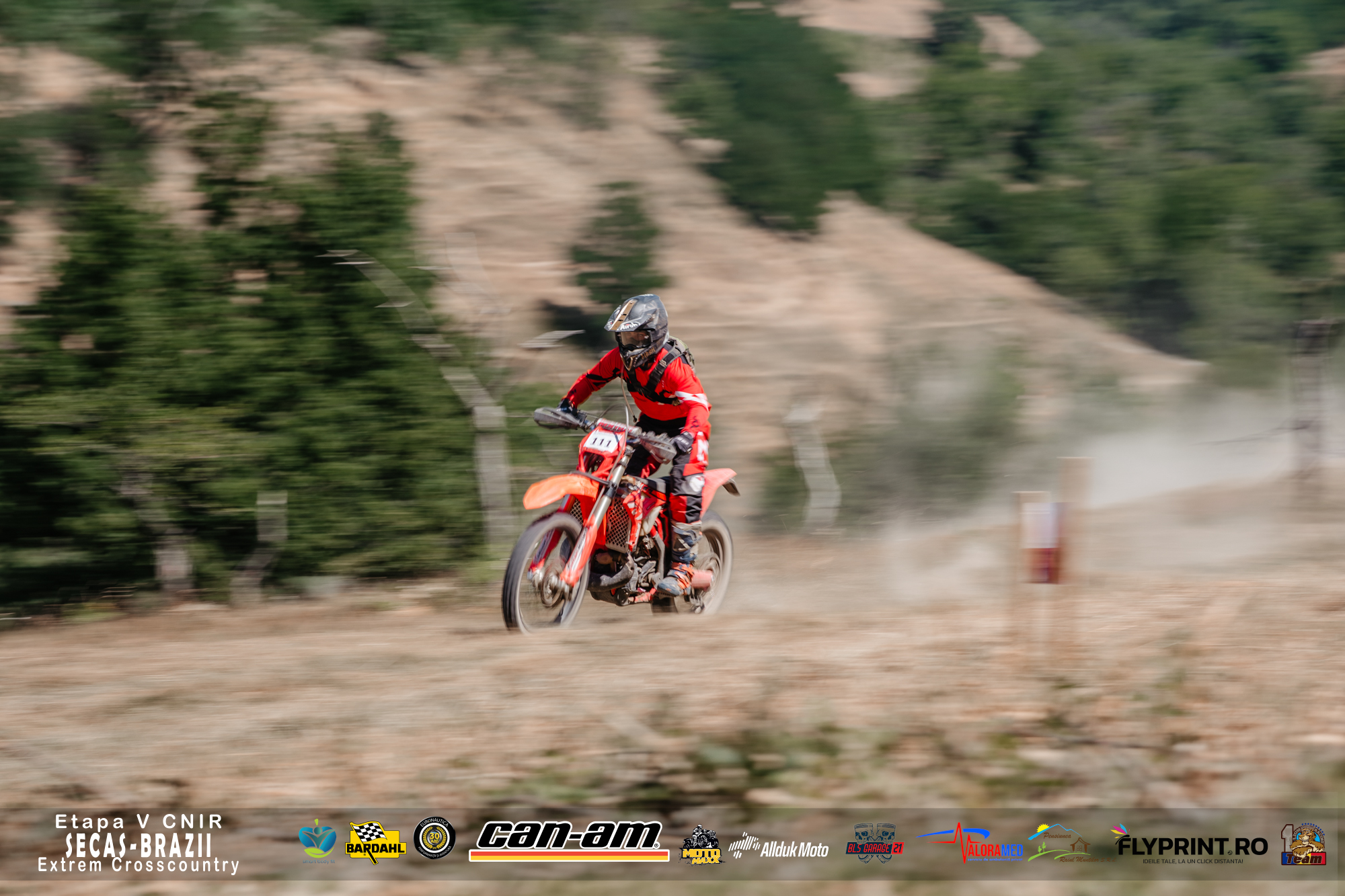 Lion Racing Team - Sebiş, România | Sebis