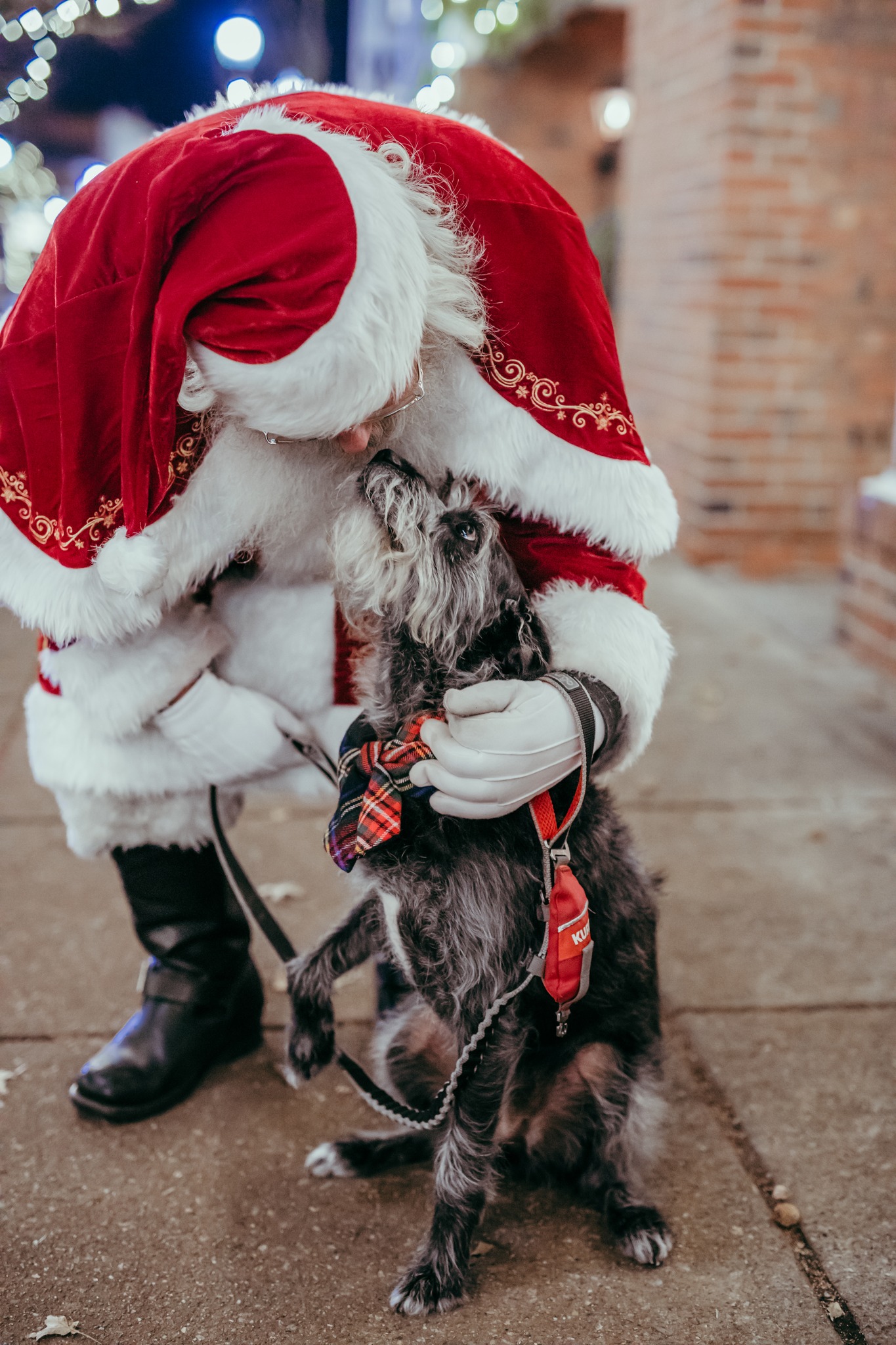 a night walk with santa 🎅🏼 these sessions have been an absolute joy for ...