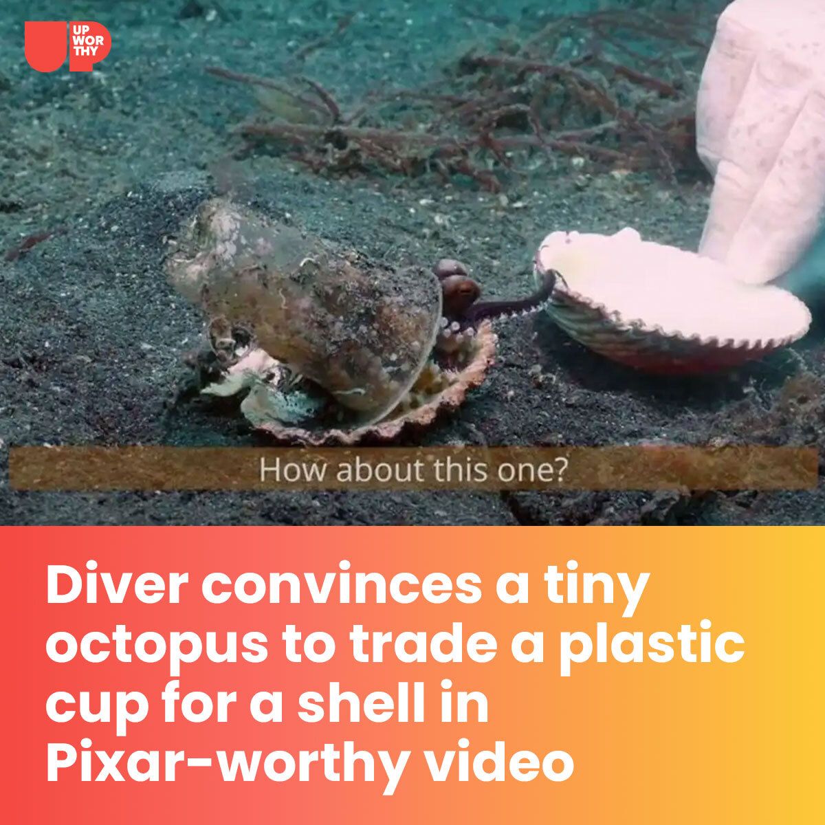 Upworthy - Upworthy added a new photo.