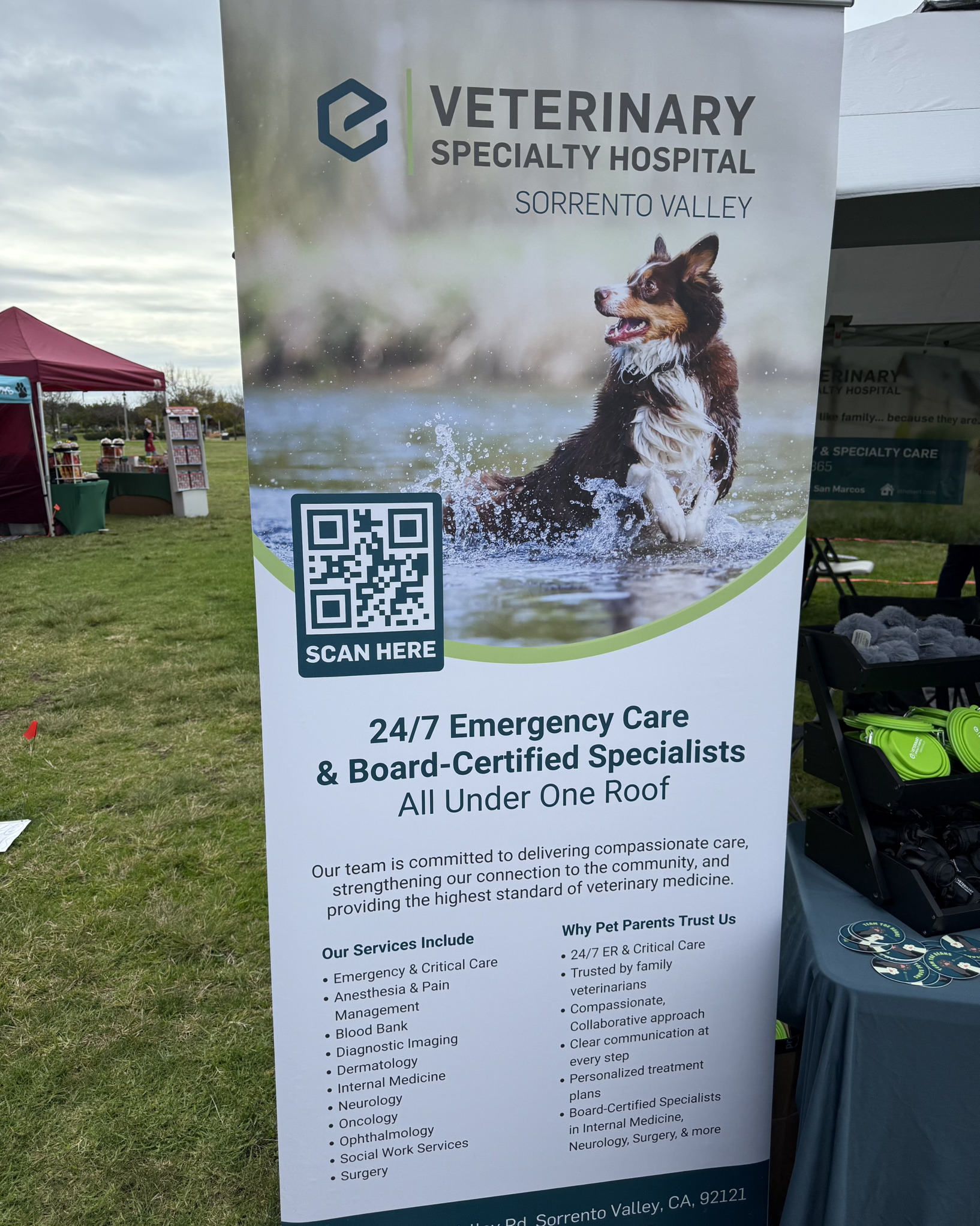 Veterinary Specialty Hospital Sorrento Valley - Thank you to Chris for ...