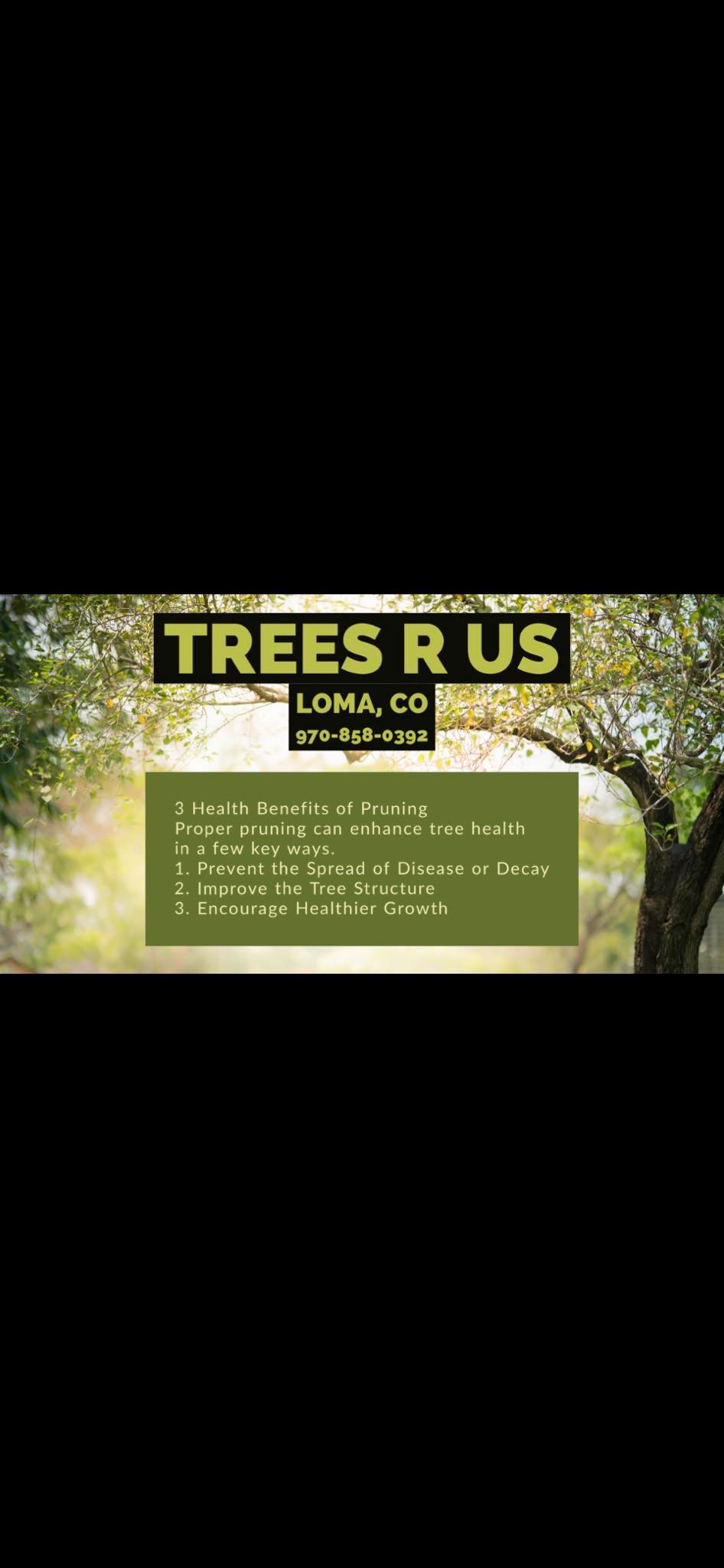 Trees R US