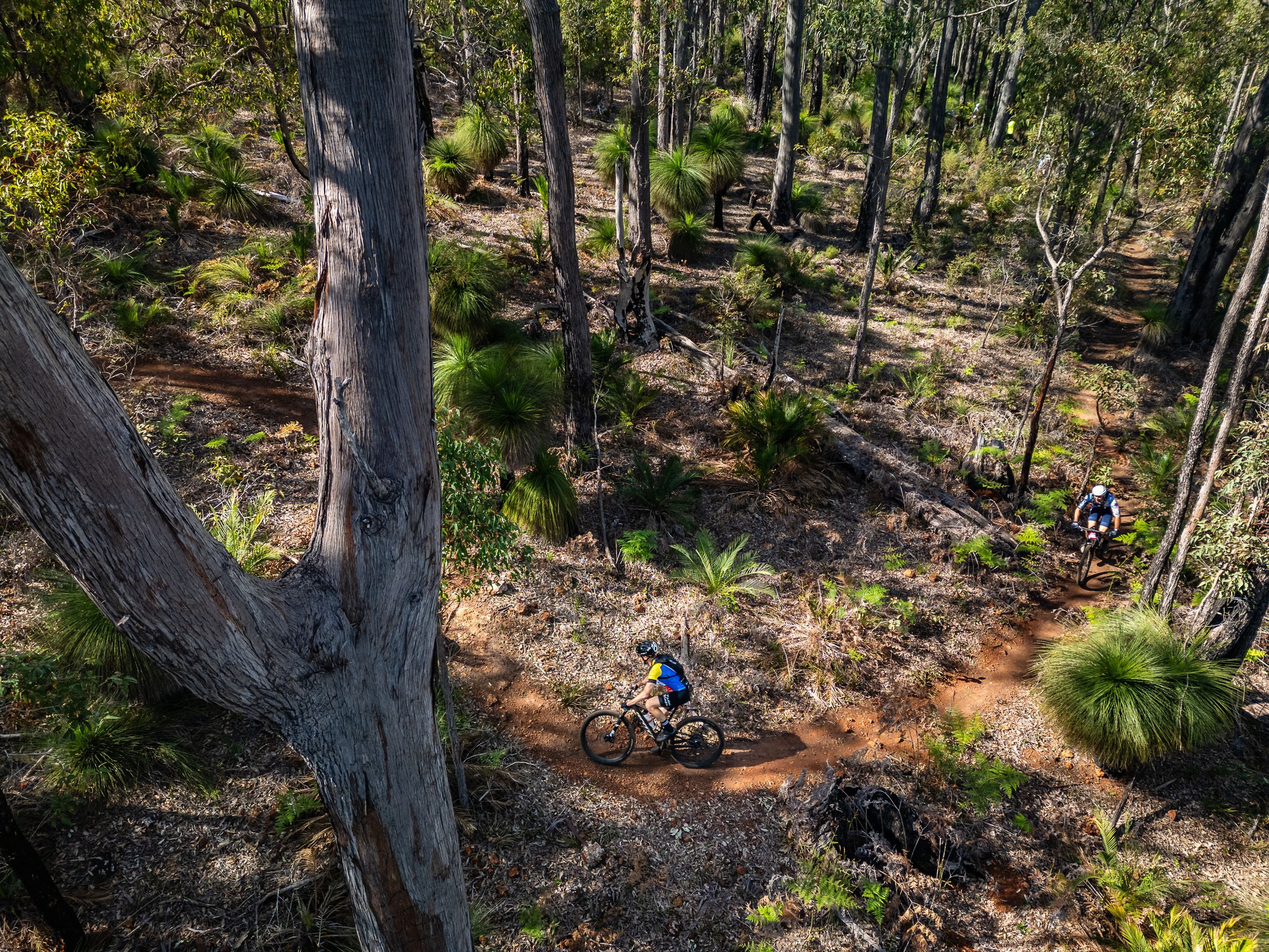 Visit Dwellingup - Dwellingup. 💚 Western Australia's Top Tiny Tourism ...