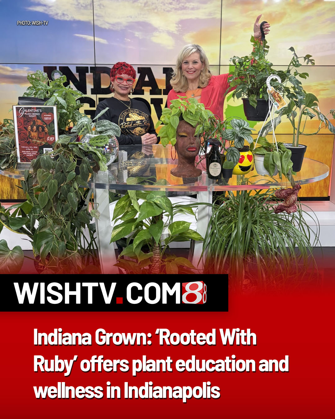 WISH-TV - Discover Rooted With Ruby, a local plant... | Facebook
