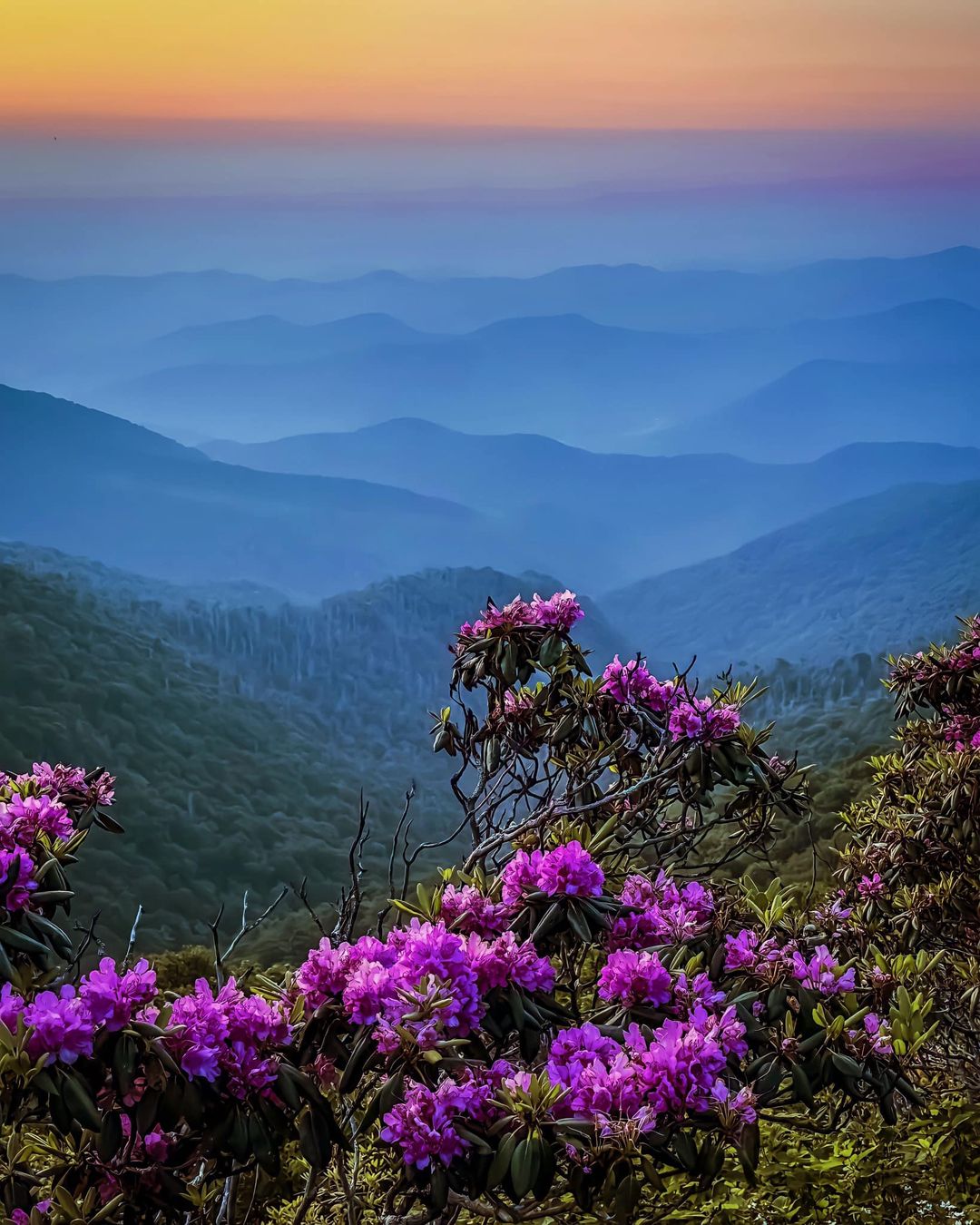 Blue Ridge Mountains... - Blue Ridge Mountains Travel Guide