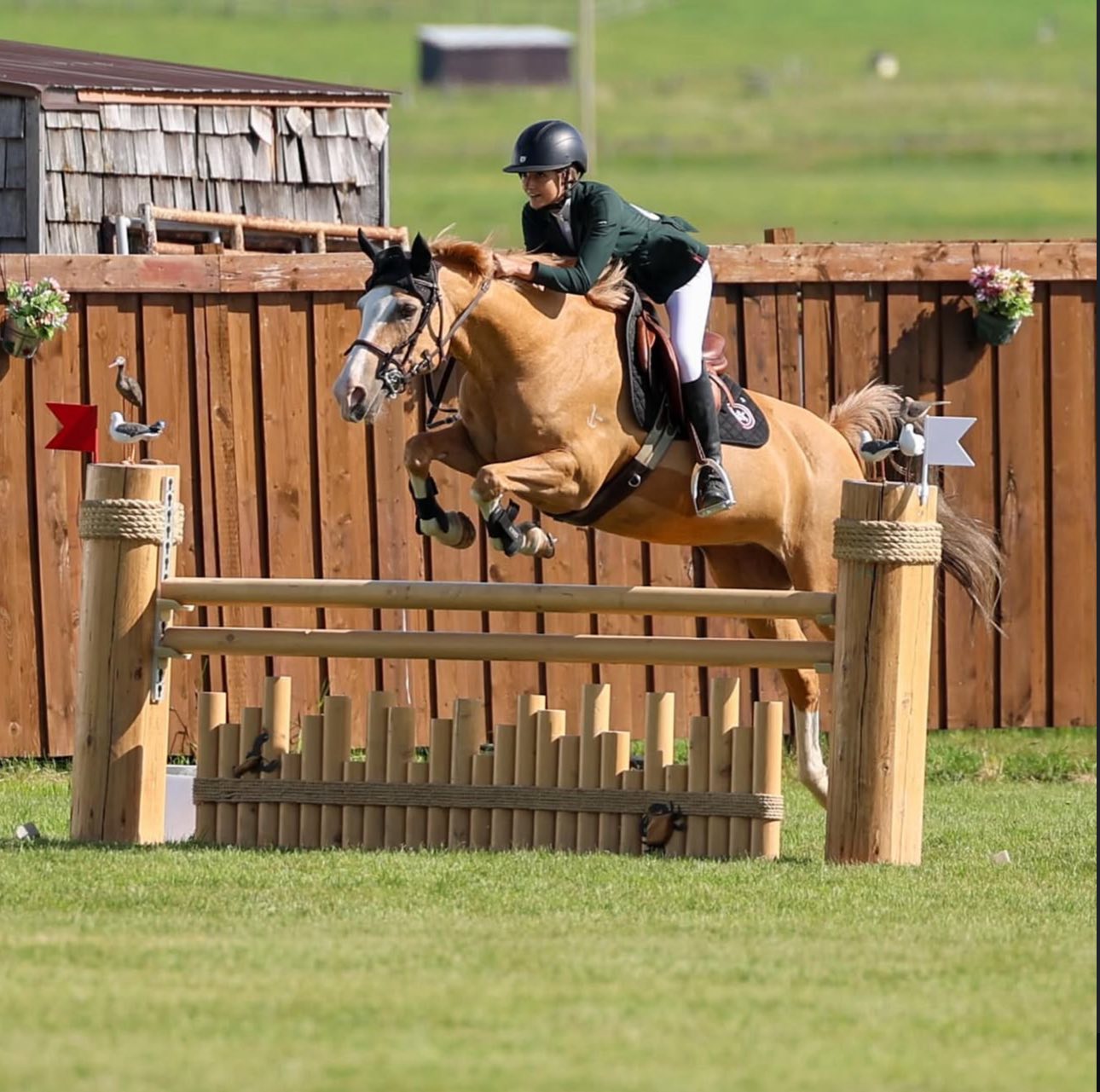 St George’s Stables Ltd. | Foothills AB