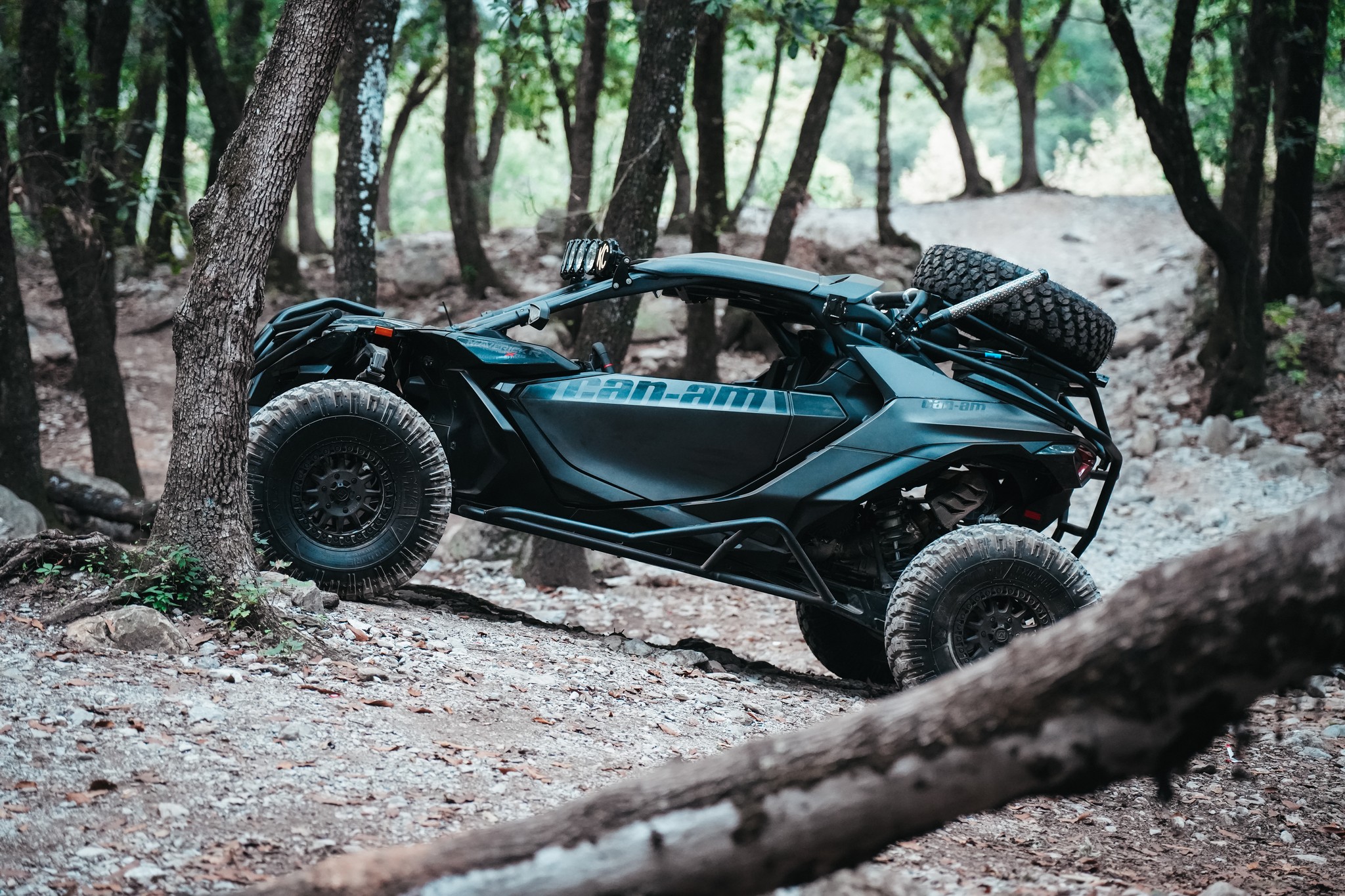 Dmx Performance Racing Team... - Dmx Performance Racing Team