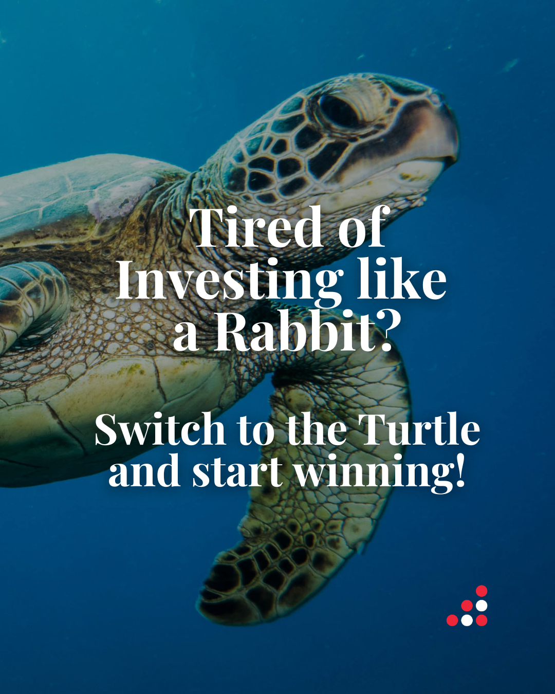 🐢 Tired of your rabbit investments?... - Drake Financial Ltd. | Facebook