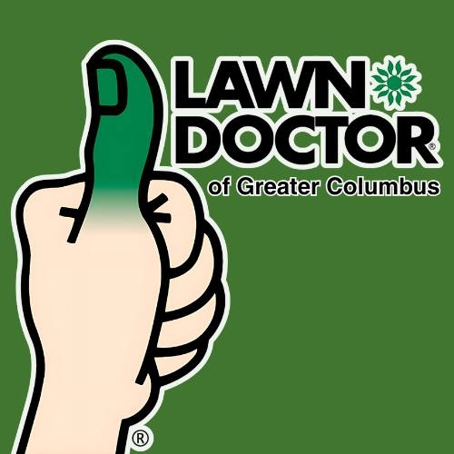 Fall Lawn Cleanup Tips & When to Stop Mowing Fall is the perfect time ...
